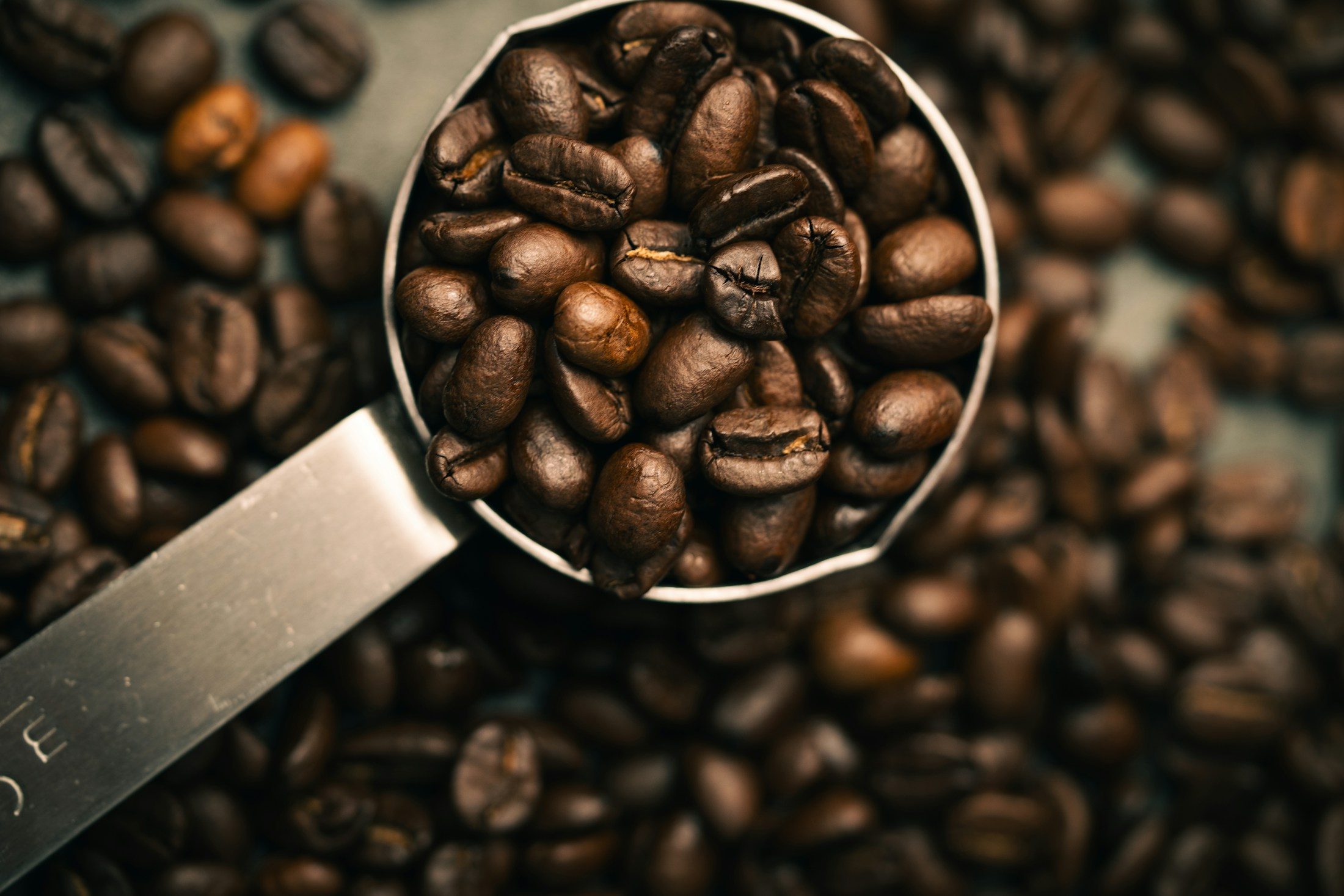 A metal scoop filled with dark roasted coffee beans