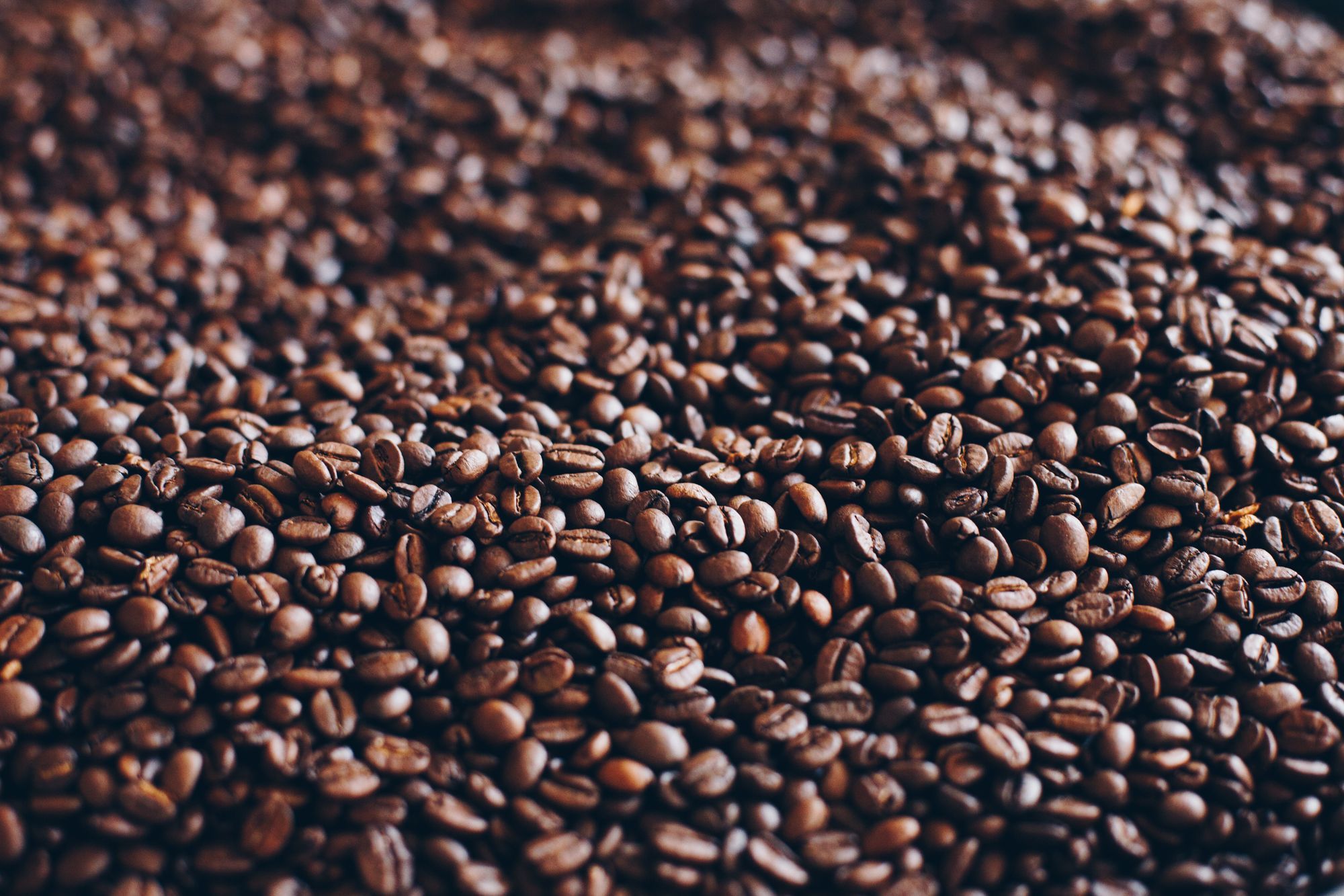 Rich brown roasted coffee beans, photographed close up