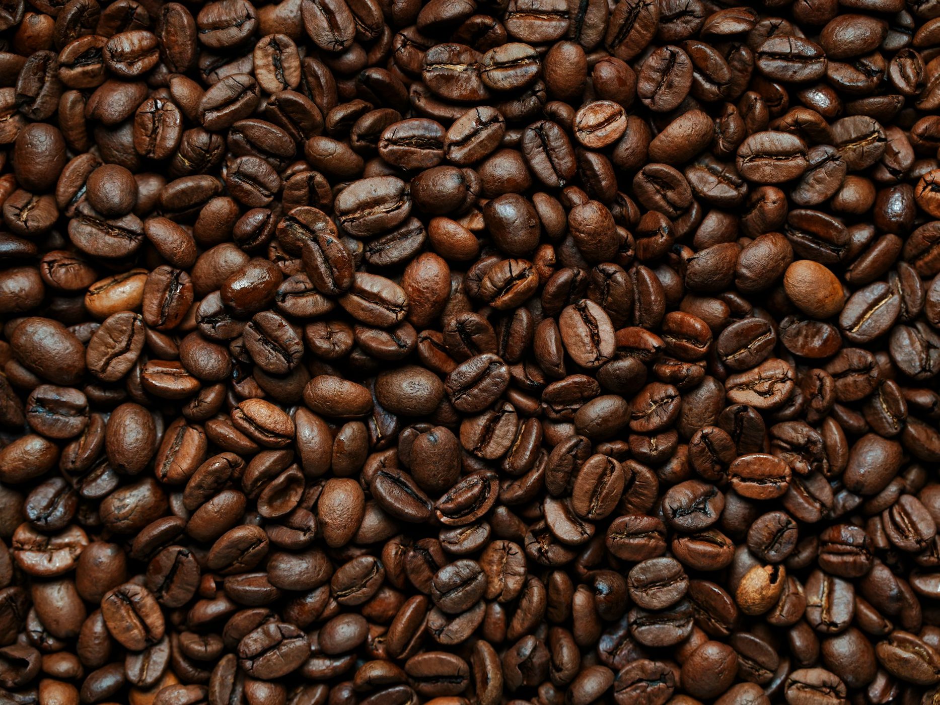 A close-up of richly roasted coffee beans