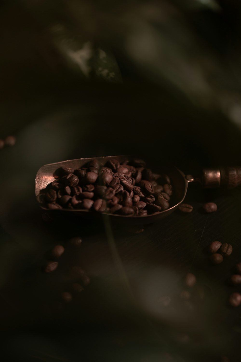A metal scoop holding roasted coffee beans on a wooden surface