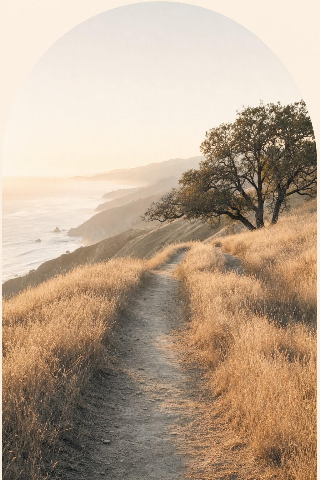 A quiet California path through golden grasses in gentle morning light