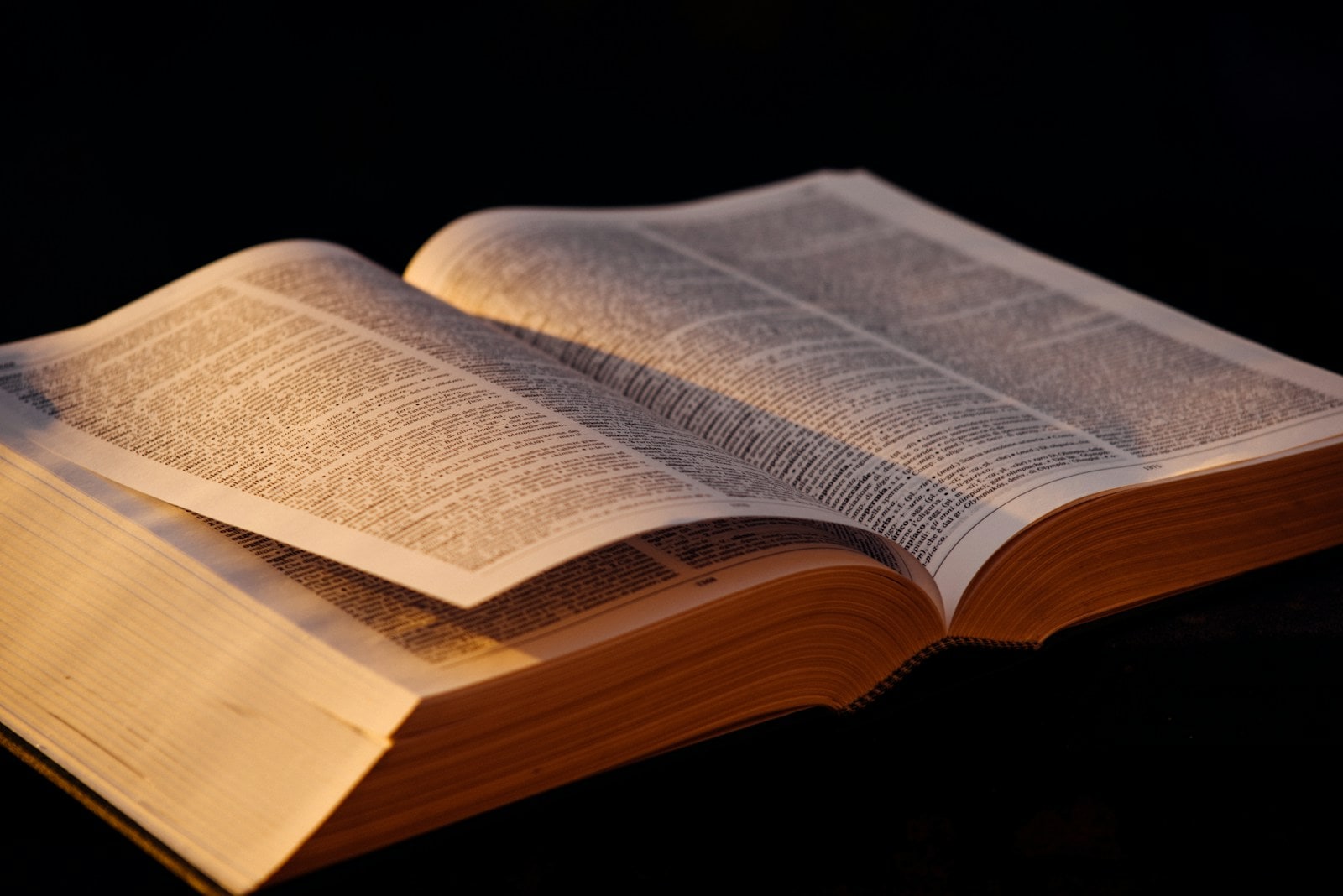 Open book resting on a wooden table in warm light