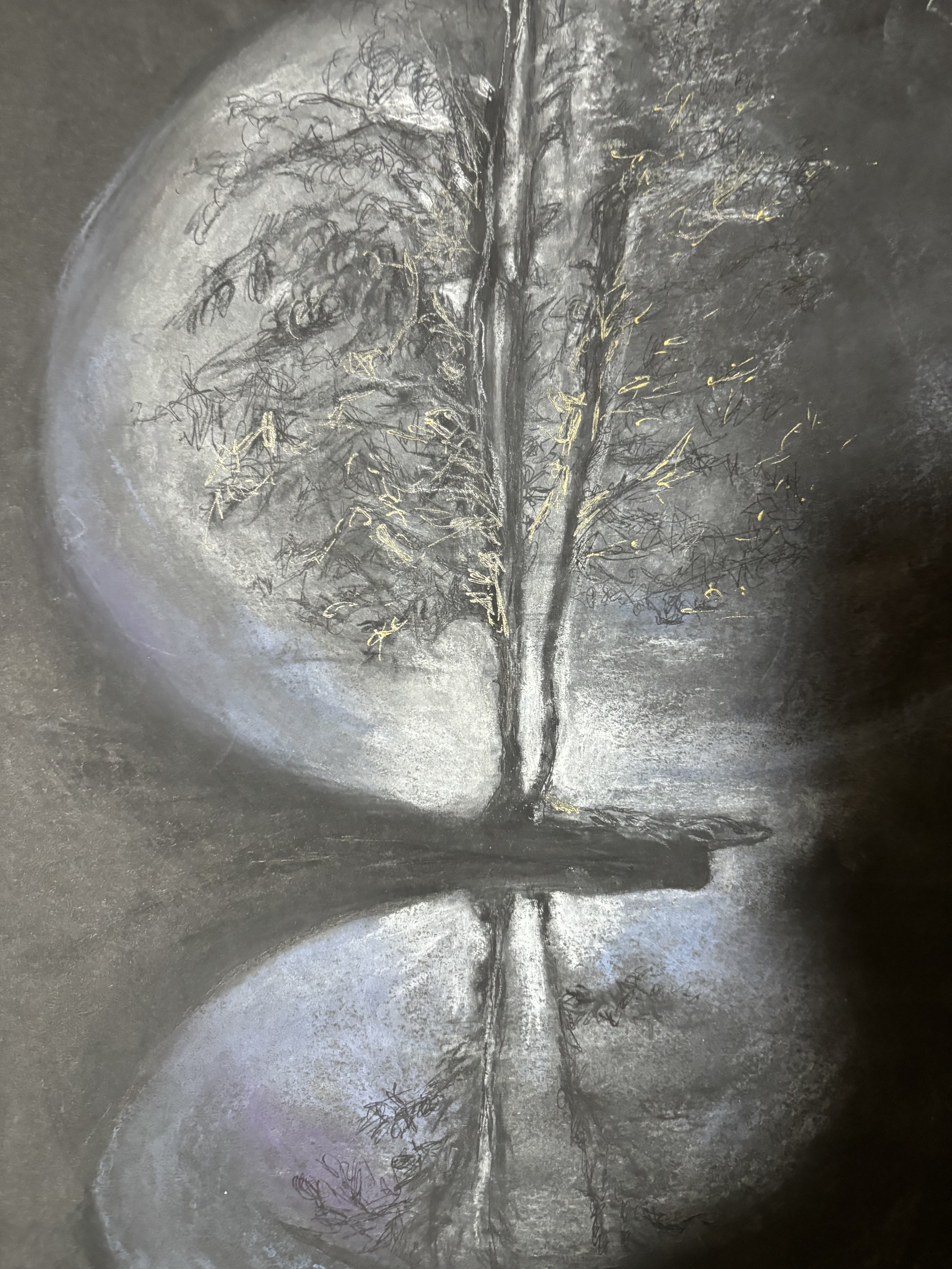 "in every walk with nature one receives far more than he seeks" H.D. Thoreau #1 Charcoal/Chalk on Paper, artwork by Cher Valentino