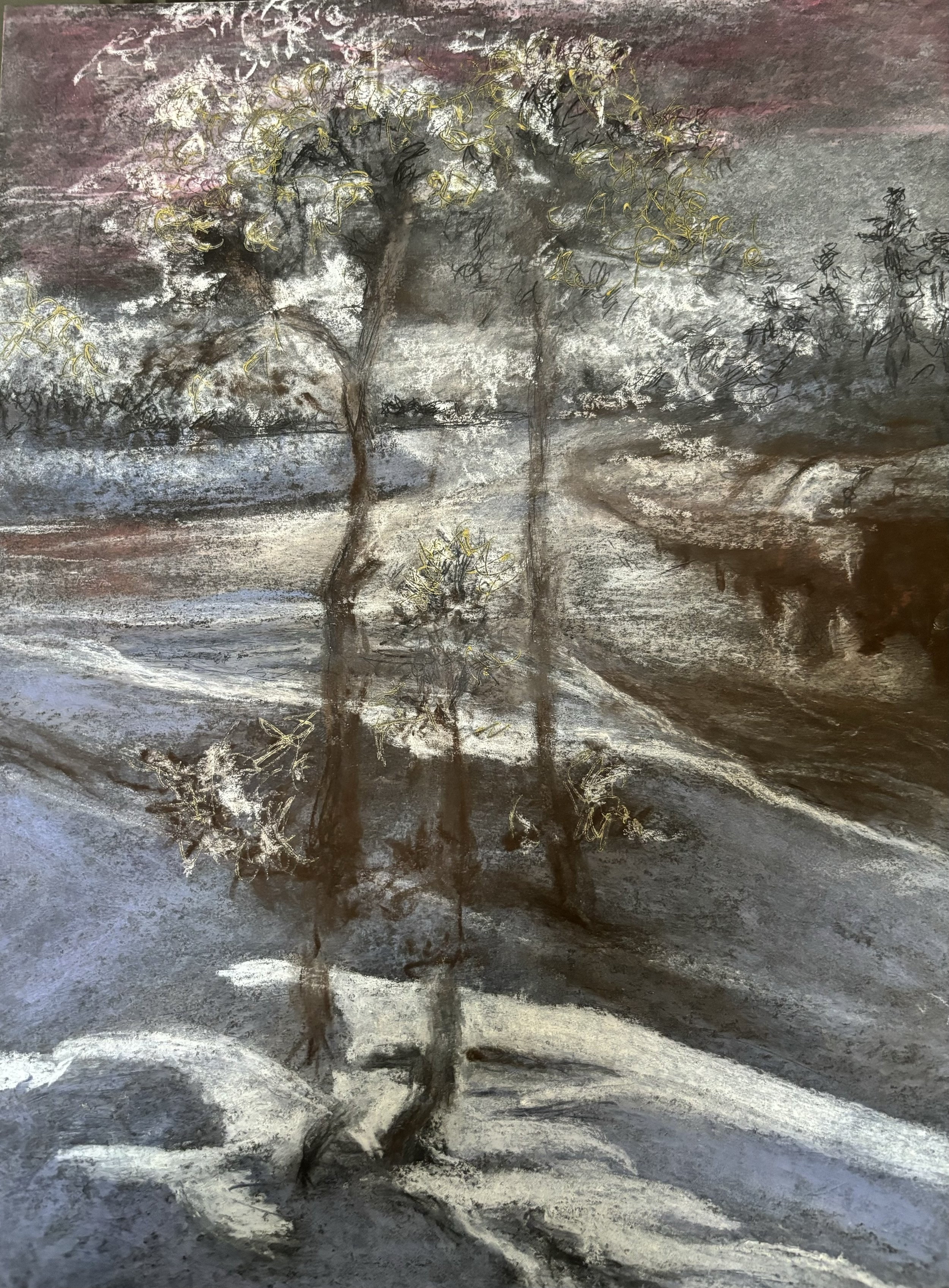 "in every walk with nature one receives far more than he seeks" H.D. Thoreau #2 Charcoal/Chalk on Paper, artwork by Cher Valentino