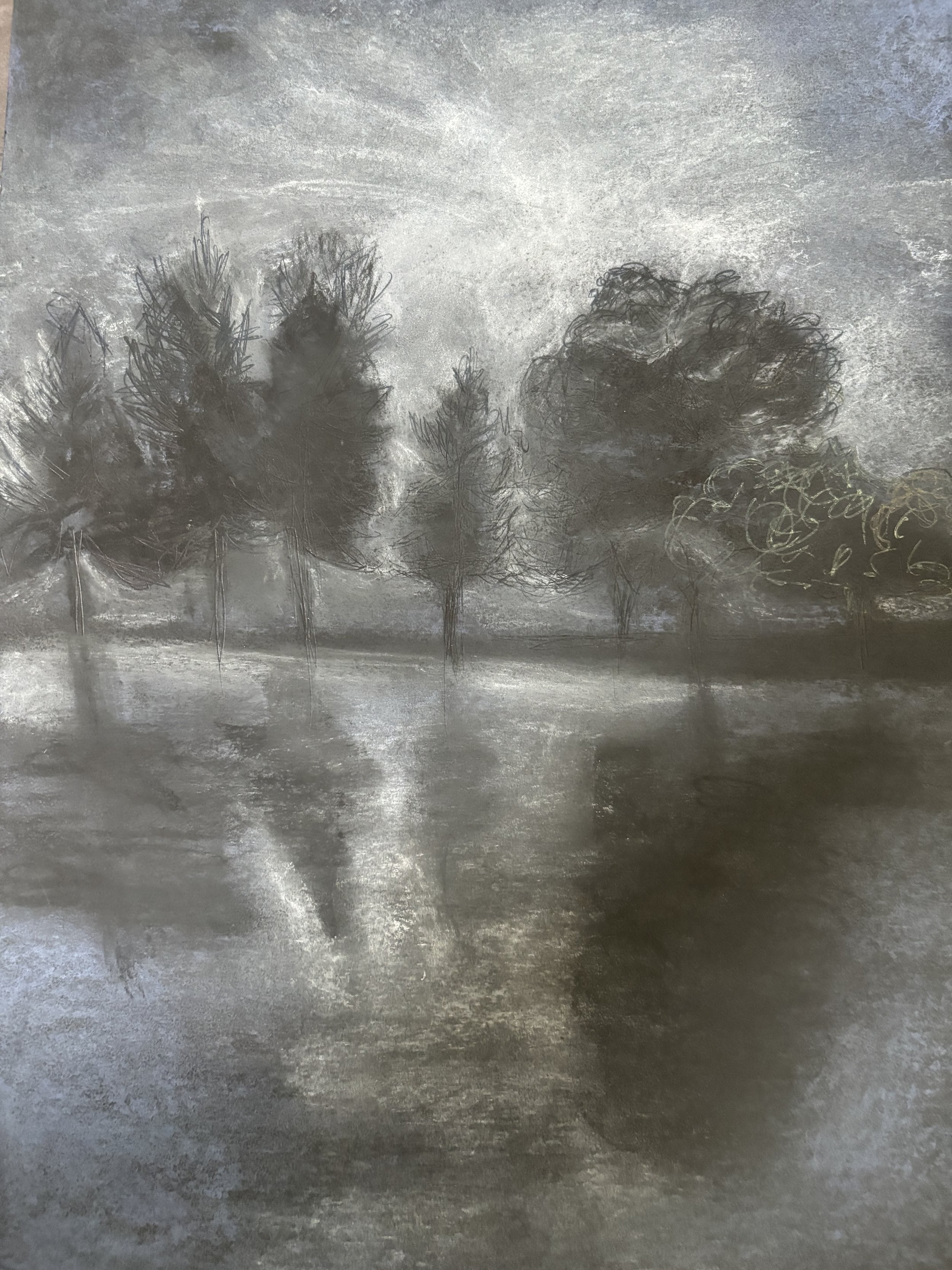 "in every walk with nature one receives far more than he seeks" H.D. Thoreau #3 Charcoal/Chalk on Paper, artwork by Cher Valentino