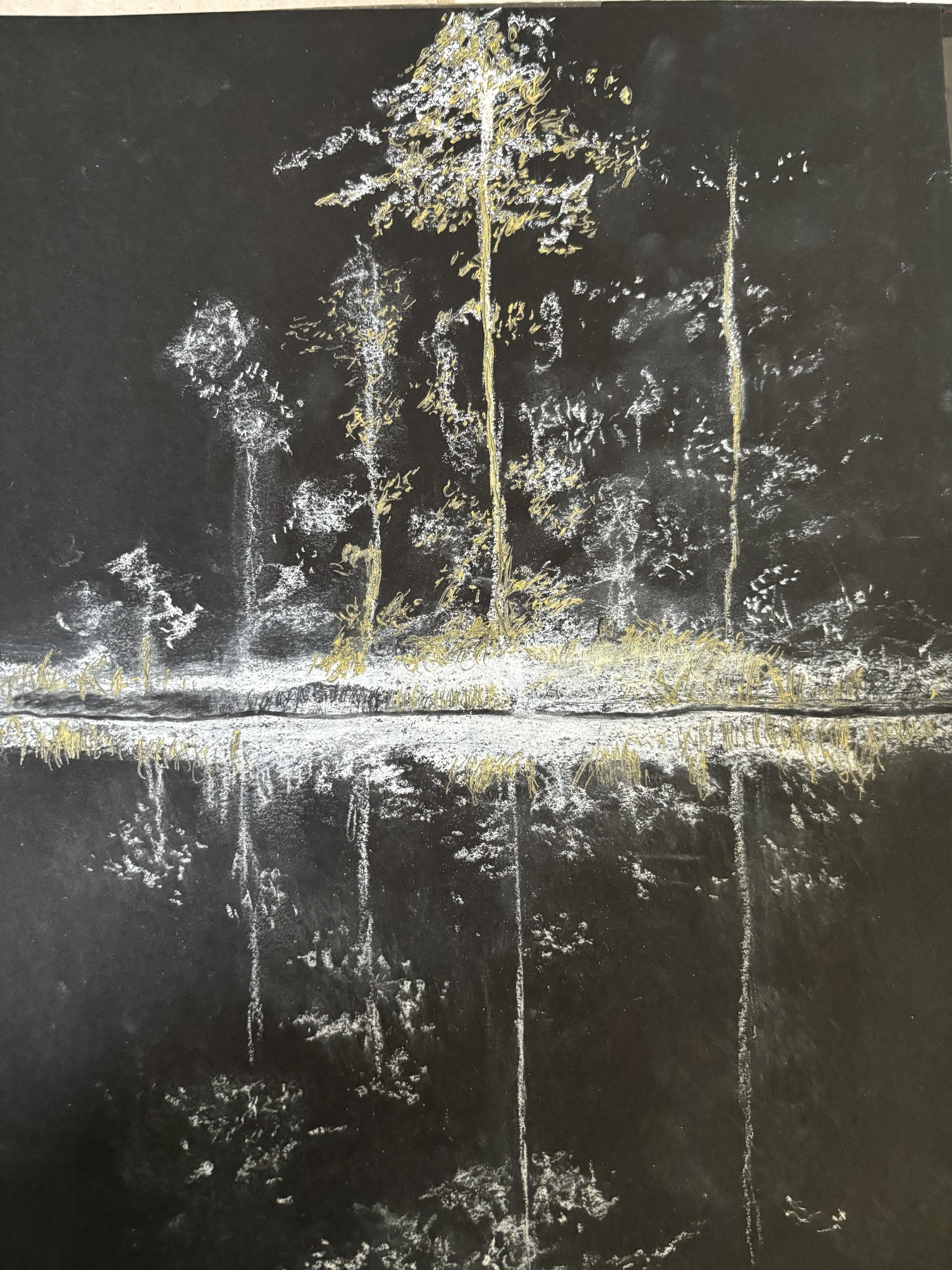 "in every walk with nature one receives far more than he seeks" H.D. Thoreau #4 Charcoal/Chalk on Paper, artwork by Cher Valentino