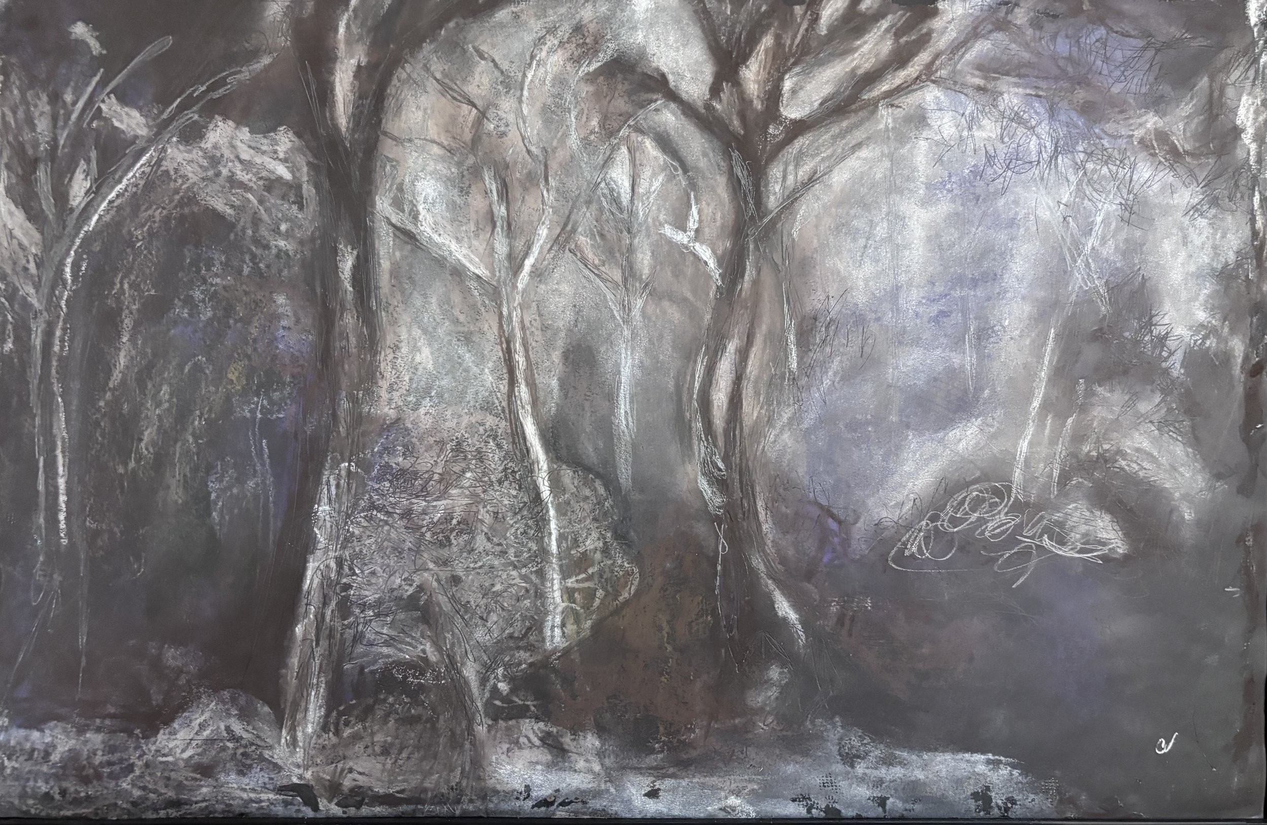 "in every walk with nature one receives far more than he seeks" H.D. Thoreau #5 Charcoal/Chalk on Paper, artwork by Cher Valentino