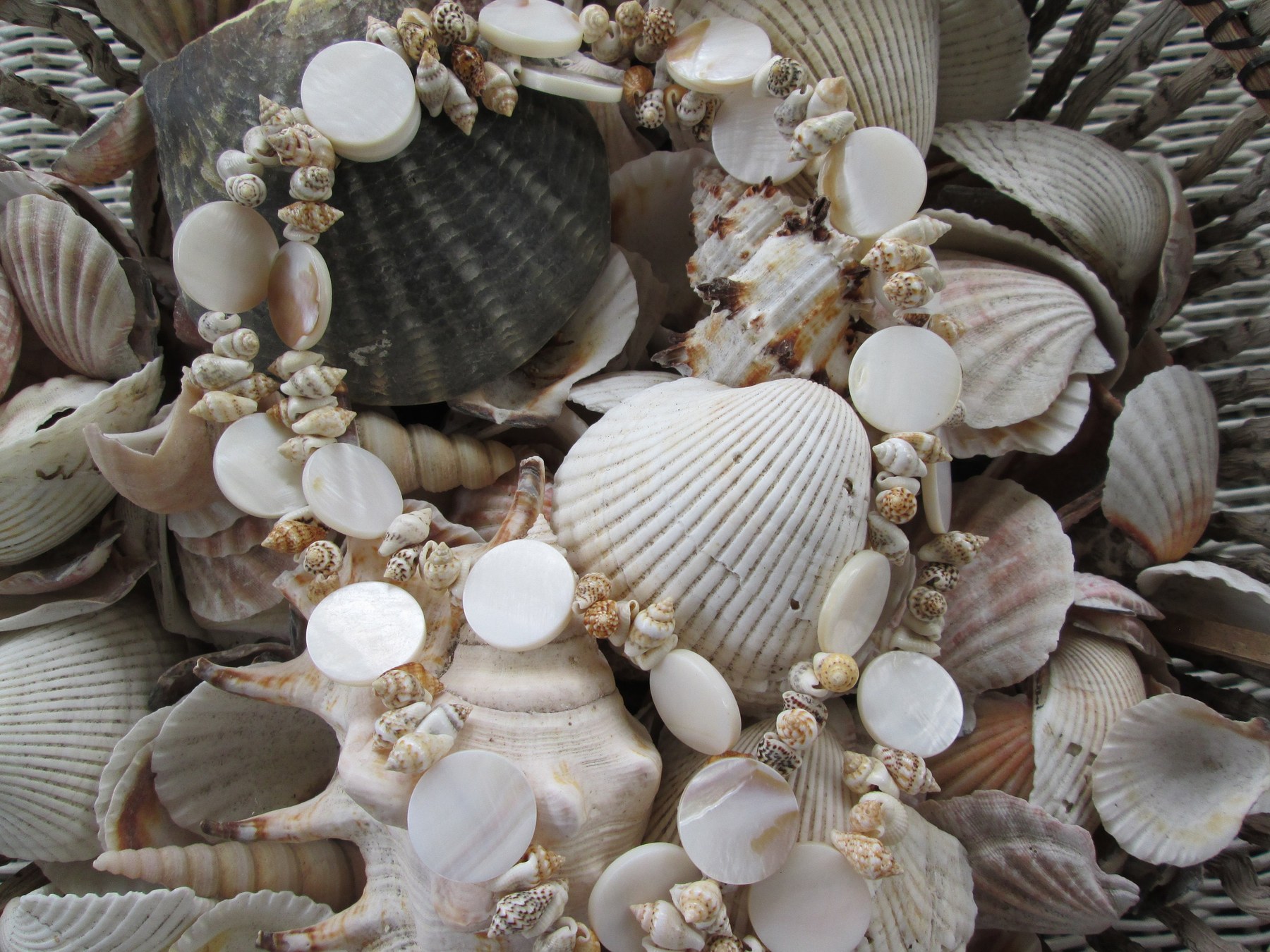Lanyard, Natural shell beaded lanyard, 716