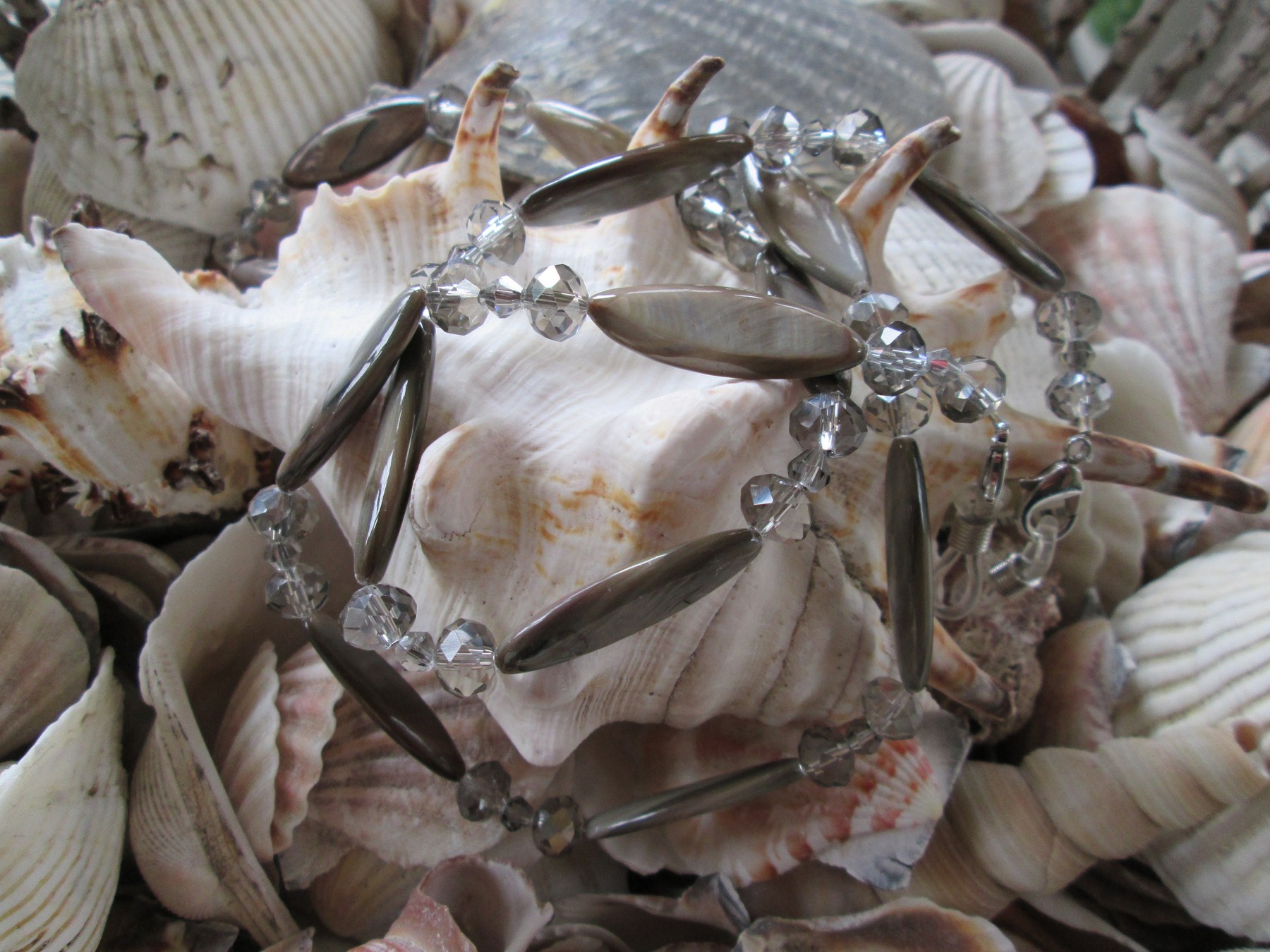 Handmade Natural Shell Glasses Chain: Beaded Eyeglass Holder, 1008, detail 3