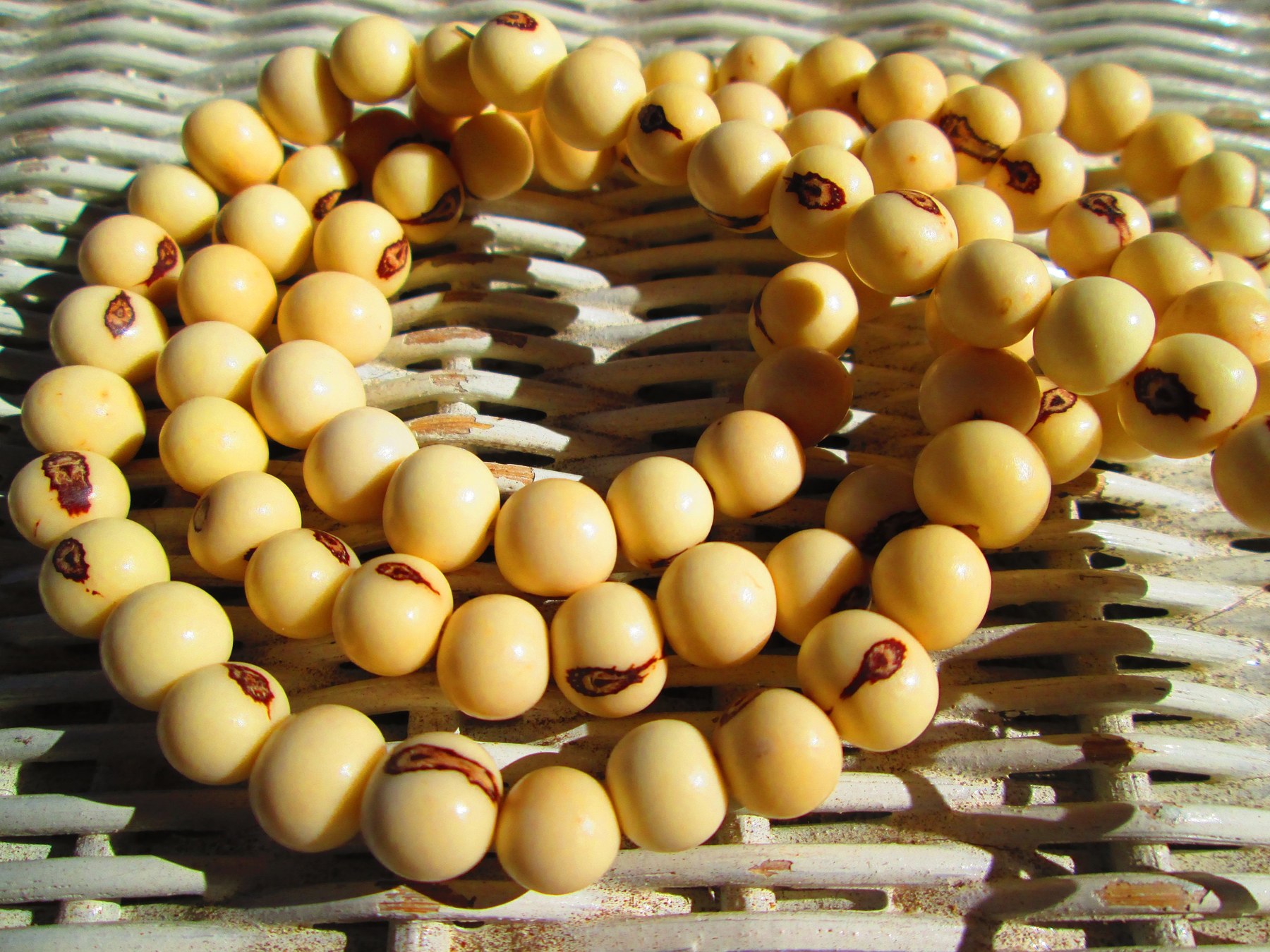 Lanyard, White Acai Beaded Lanyard, 822