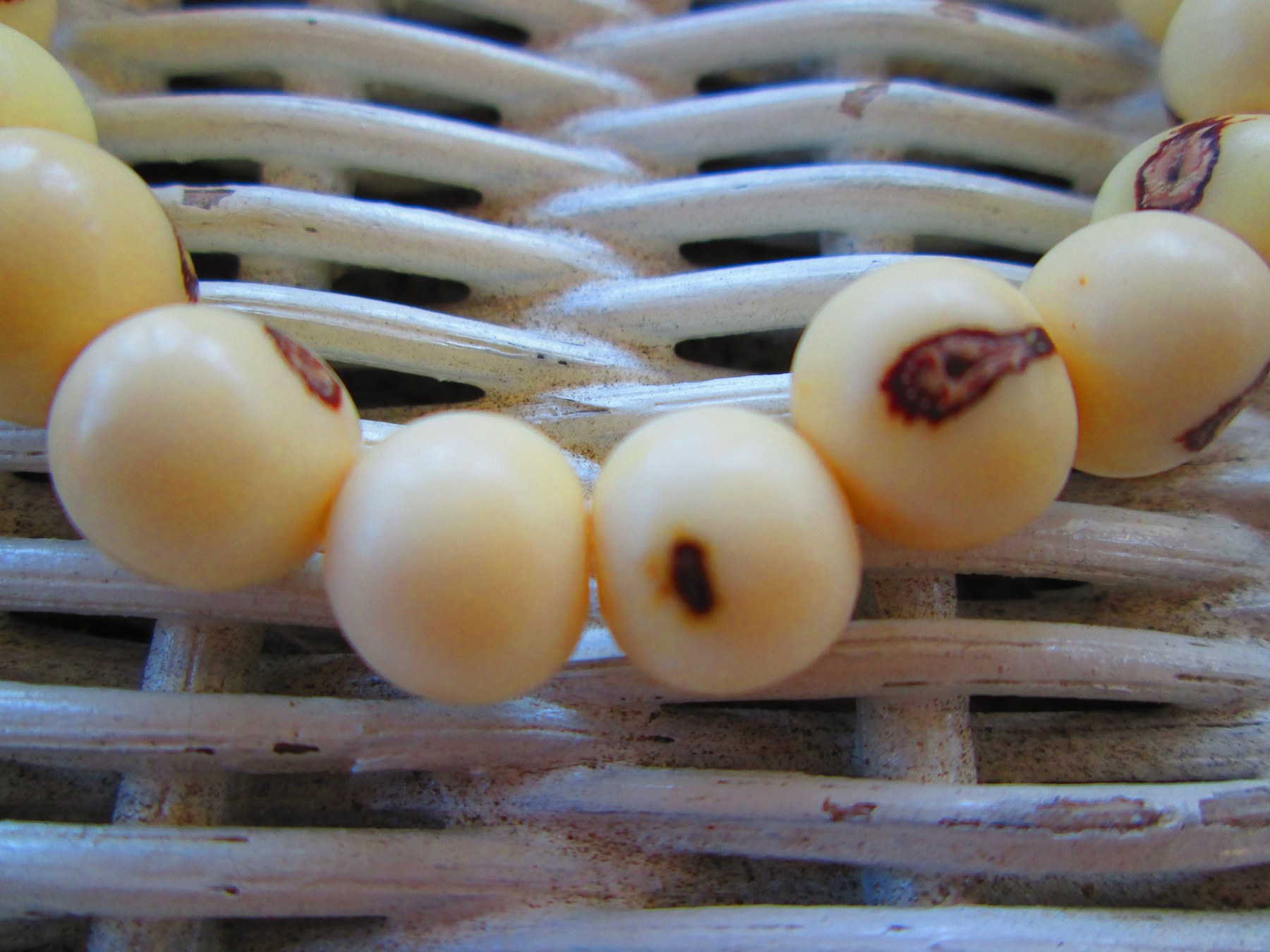 Handmade White Acai Beaded Bracelet: Elastic Cord, Natural Jewelry,BUY one GET one FREE 1122, detail 2