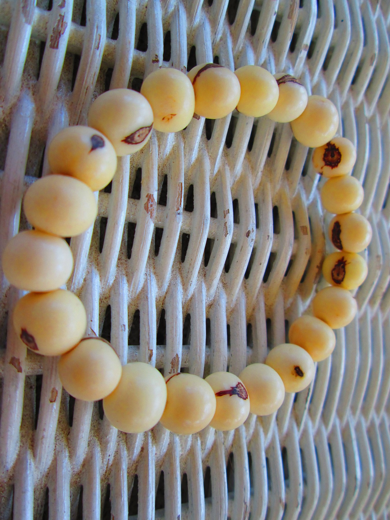 Handmade White Acai Beaded Bracelet: Elastic Cord, Natural Jewelry,BUY one GET one FREE 1122, detail 4