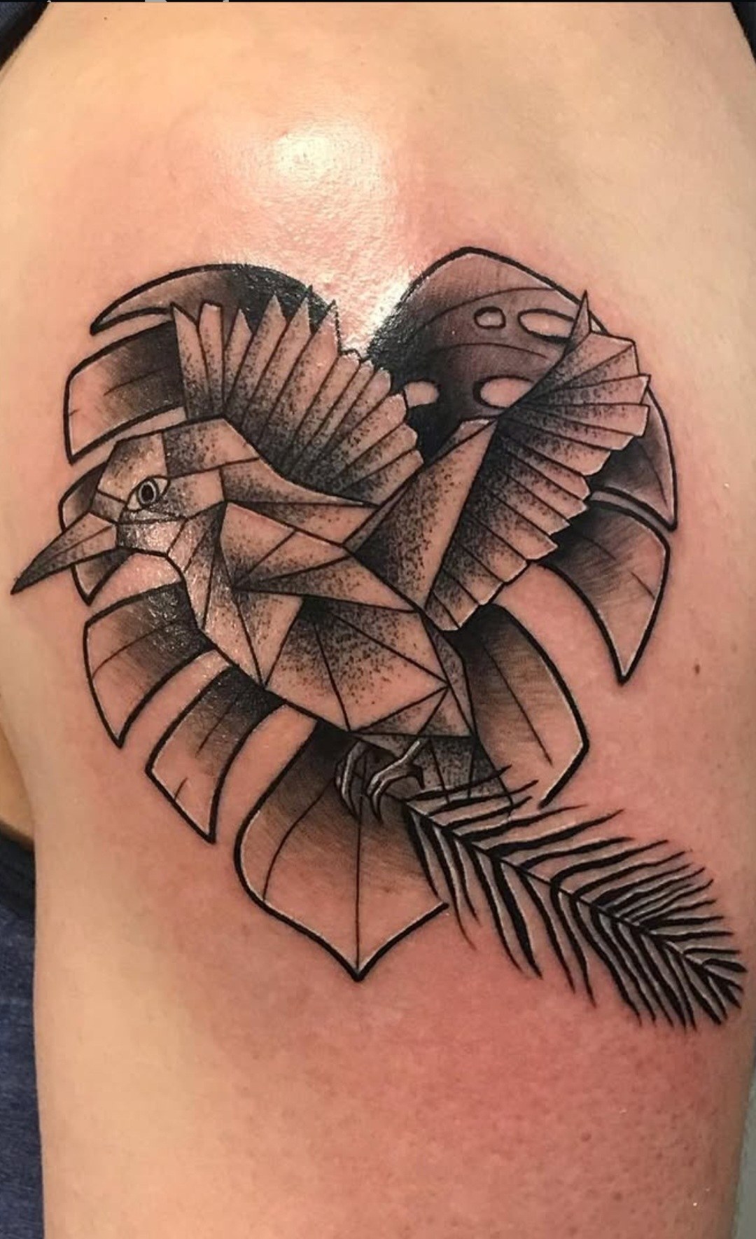 Blackwork moth and foliage tattoo by Rob Scotti