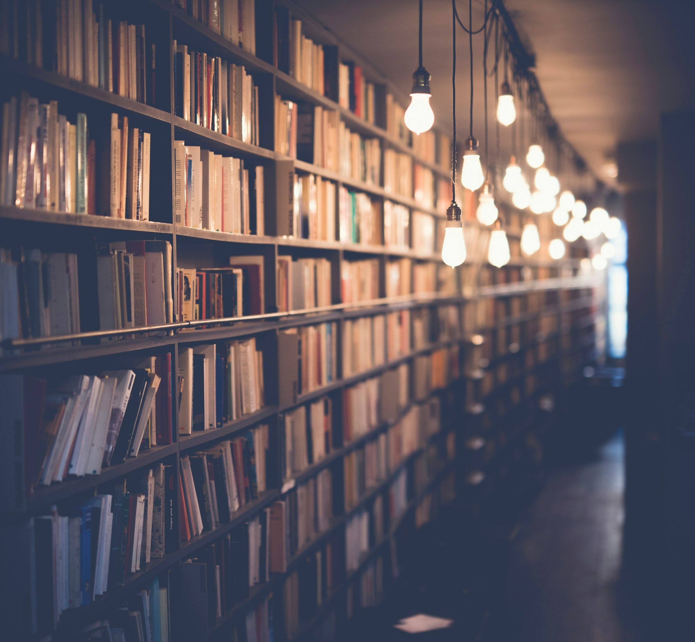 Warm lights along shelves of books in a quiet library