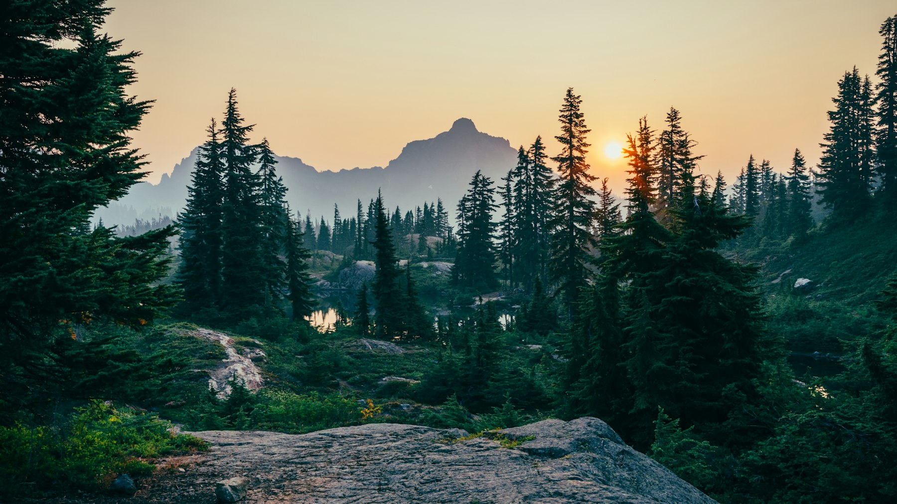 Misty forest and mountains at sunset
