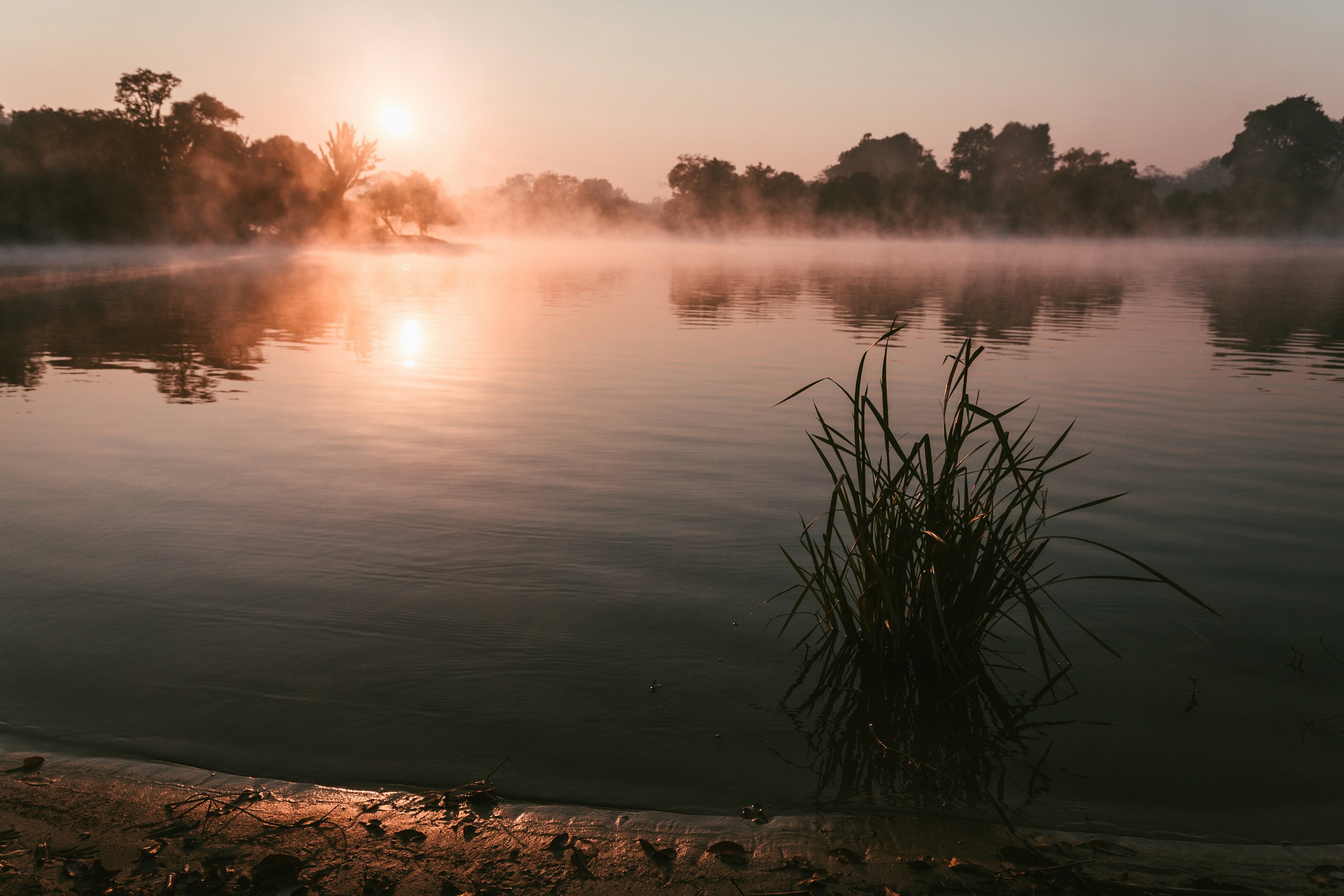 Misty lake at sunrise