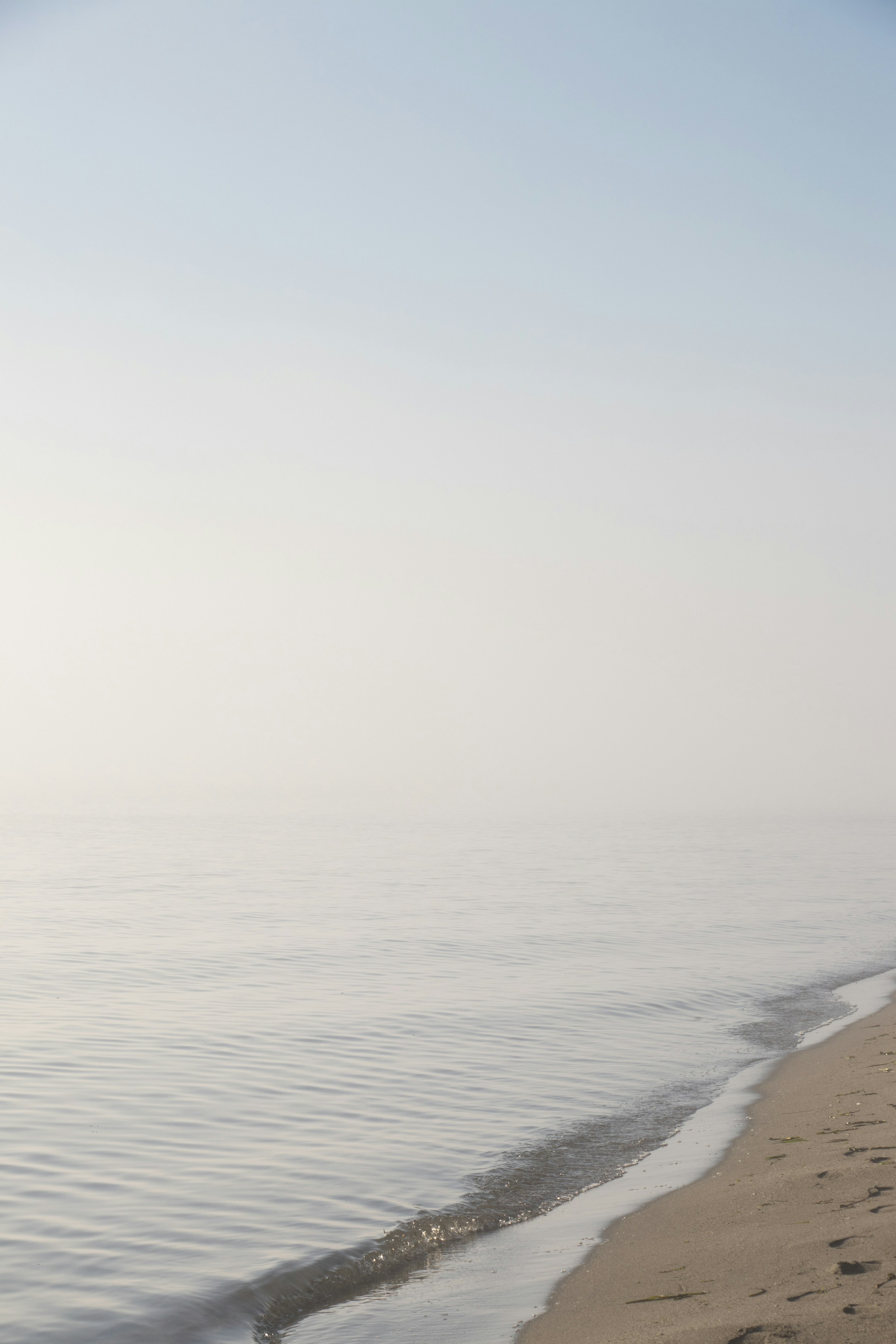 Quiet shoreline under a pale sky