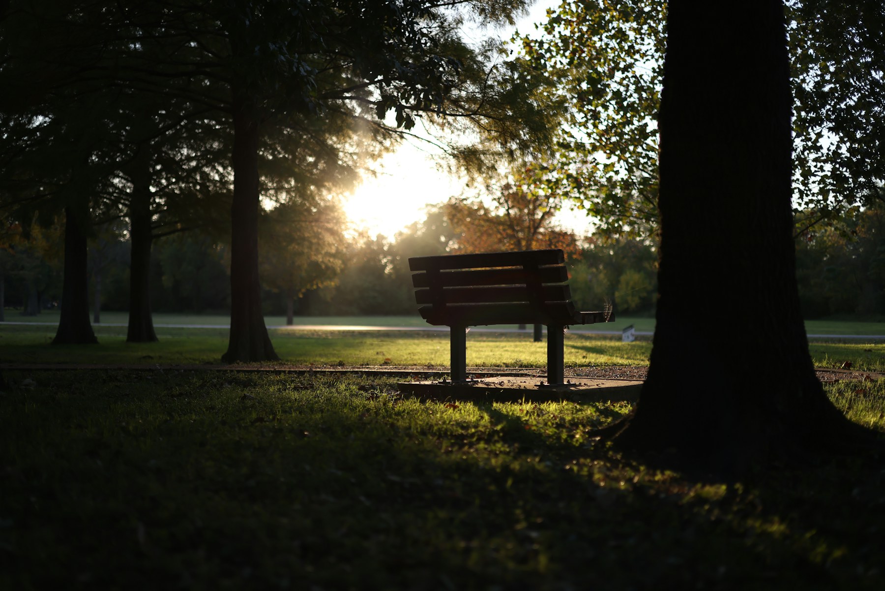 An empty park bench in warm evening light