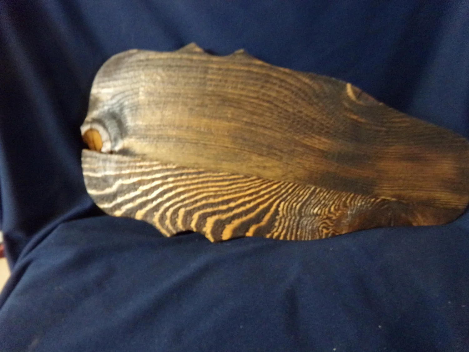 ANTELOPE Skull Plaque European Mount
