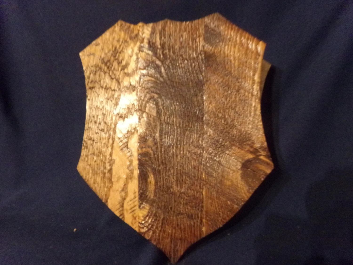 Deer CAP  Skull Plaque  Mount