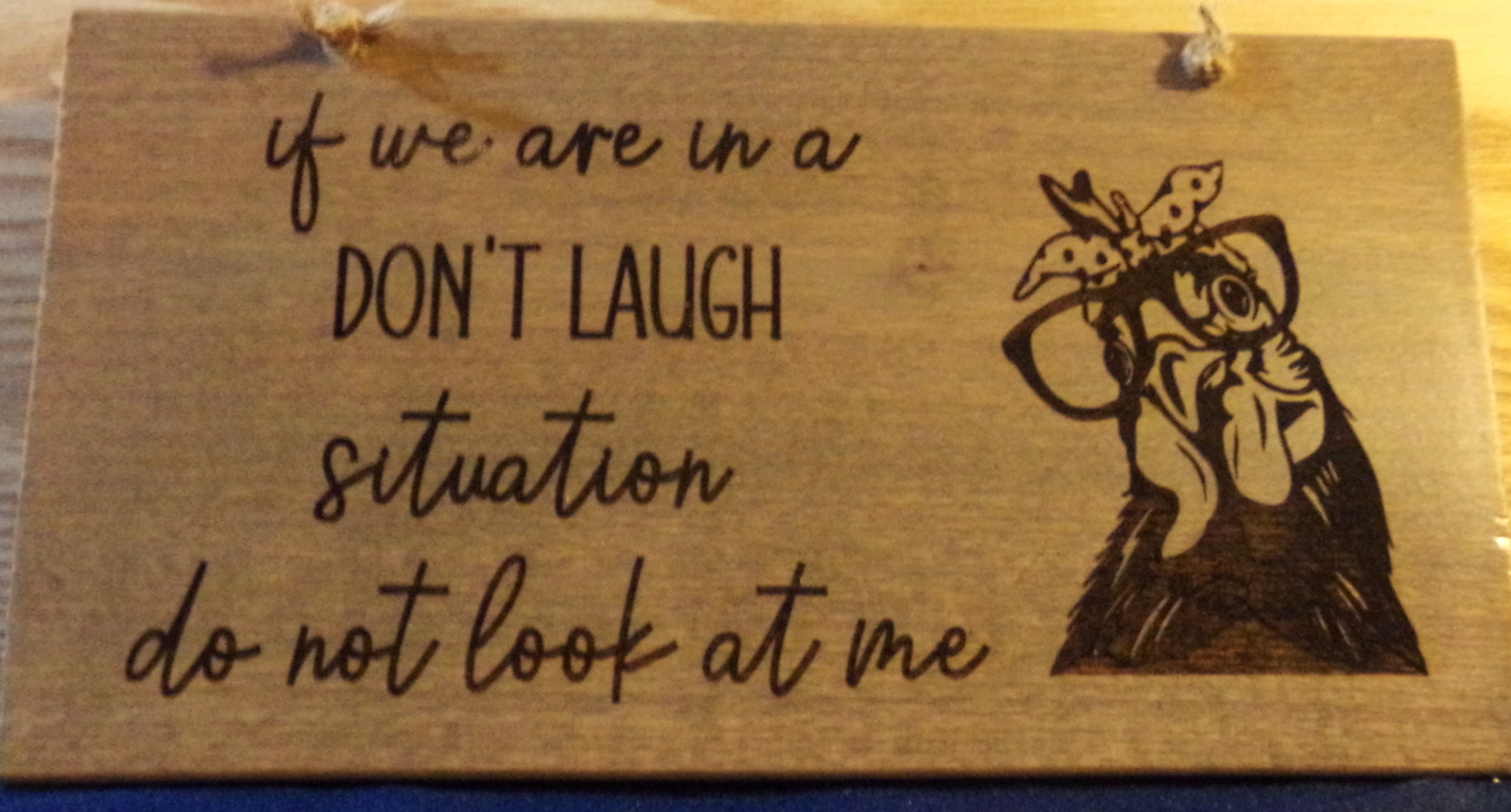 SARCASM, SASSY , FUNNY , SAY IT LIKE IT IS Decorative Wood signs