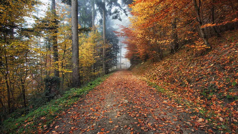 Image from Fall Into Wellness: Why Vacations Still Matter After Summer Ends