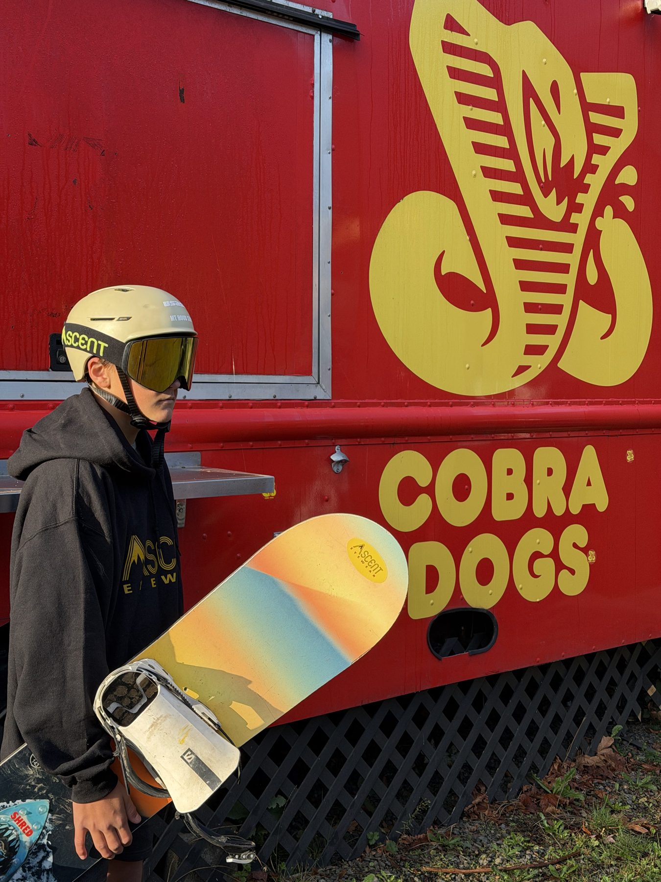 Bear wearing Ascent goggles with his snowboard beside Cobra Dogs