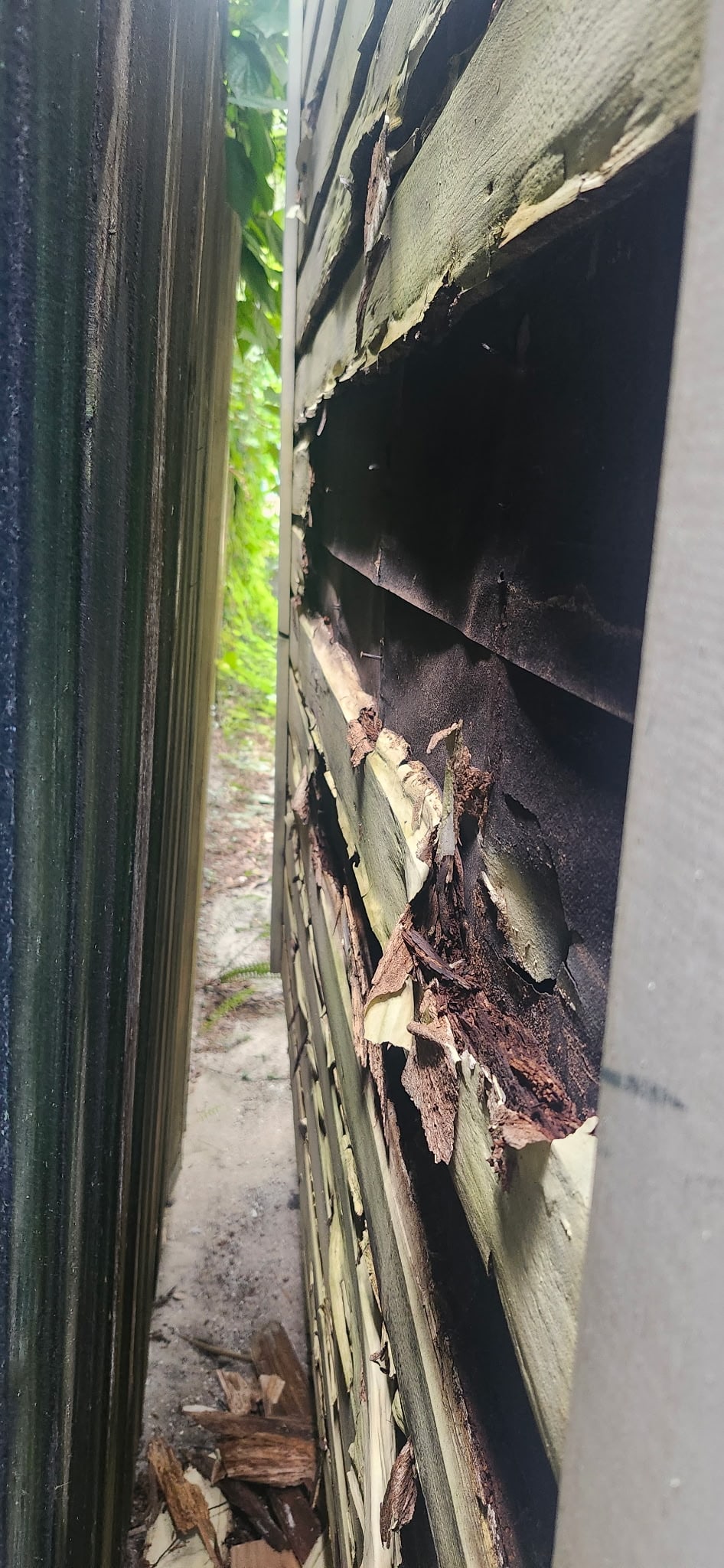 Severe hidden wood rot exposed behind exterior siding at the historic St. Augustine home