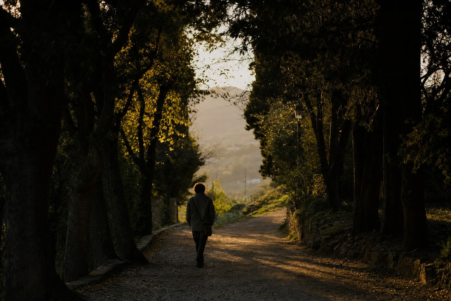 A person walking alone on a quiet tree-lined path
