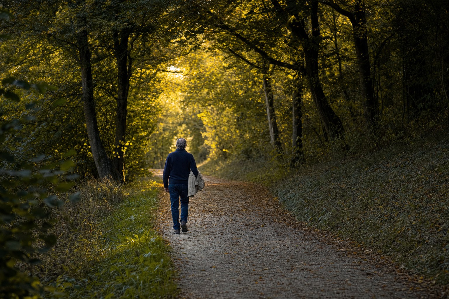 A person walking alone along a quiet tree-lined path in early autumn
