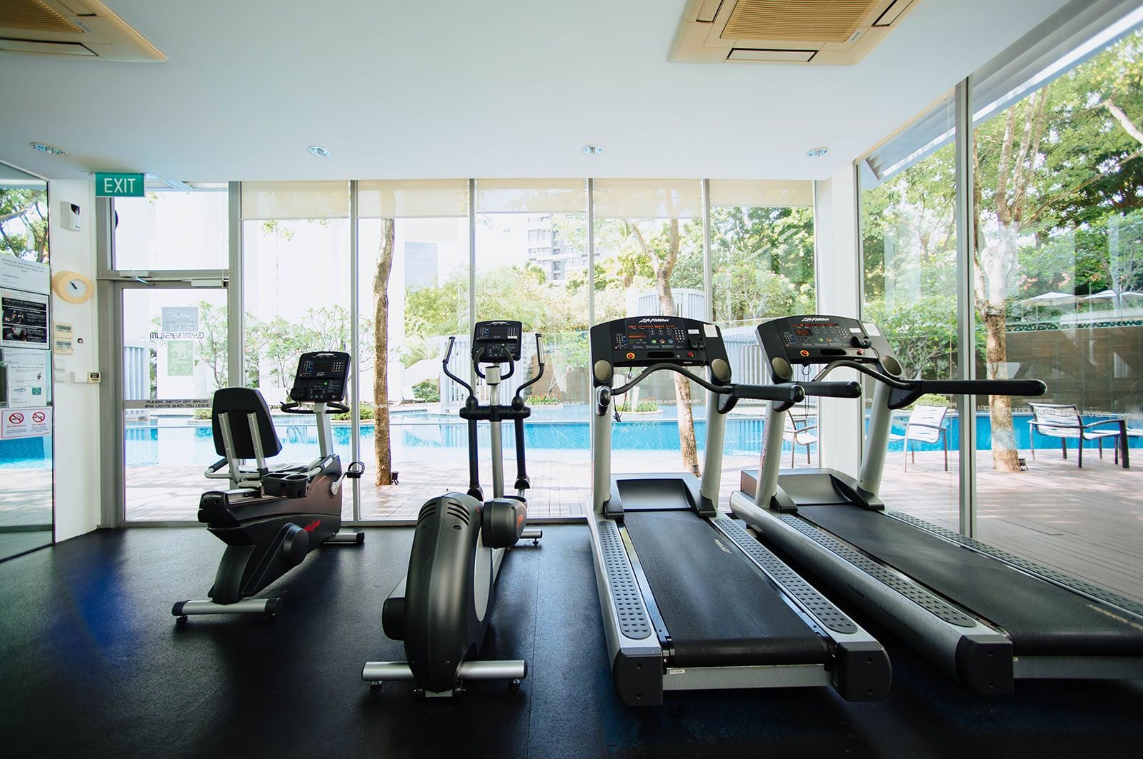The Best Medicine is a Treadmill: How Daily Exercise Can Treat Depression article image