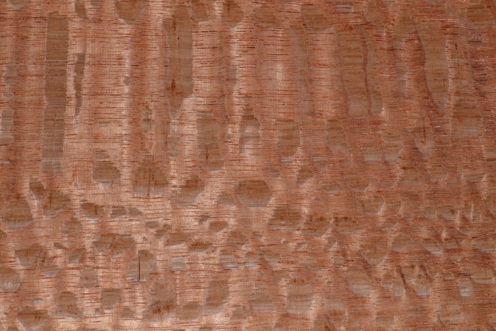 Raw wood veneer sheet with pronounced natural grain