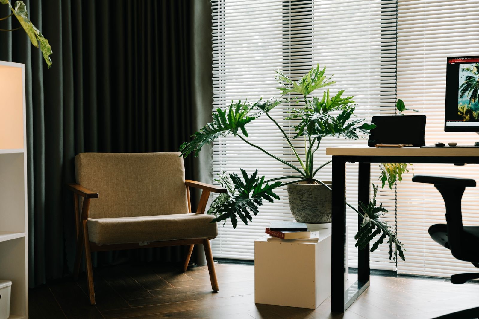 A calm, welcoming office with natural light and greenery