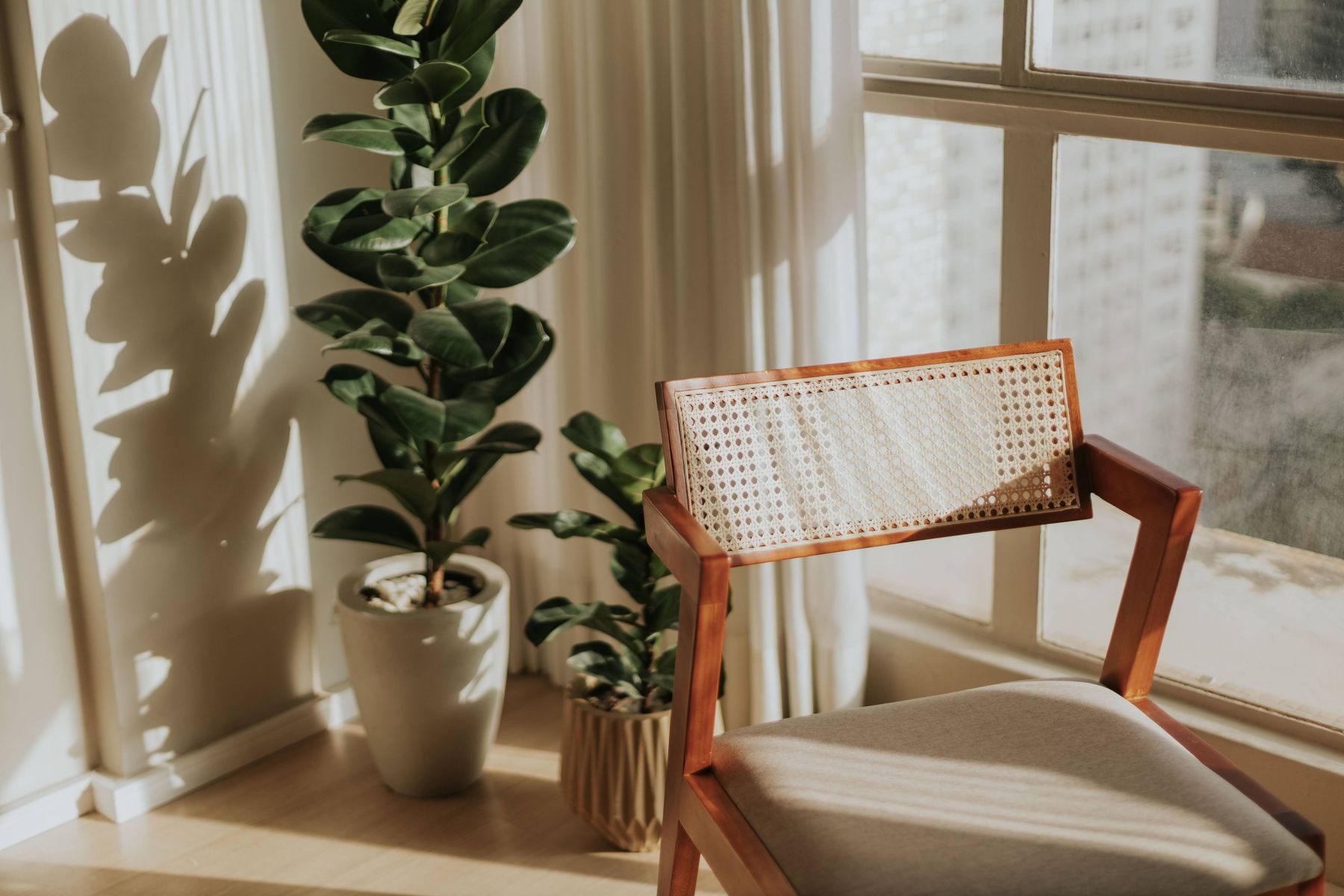 Sunlit, welcoming consultation space with greenery