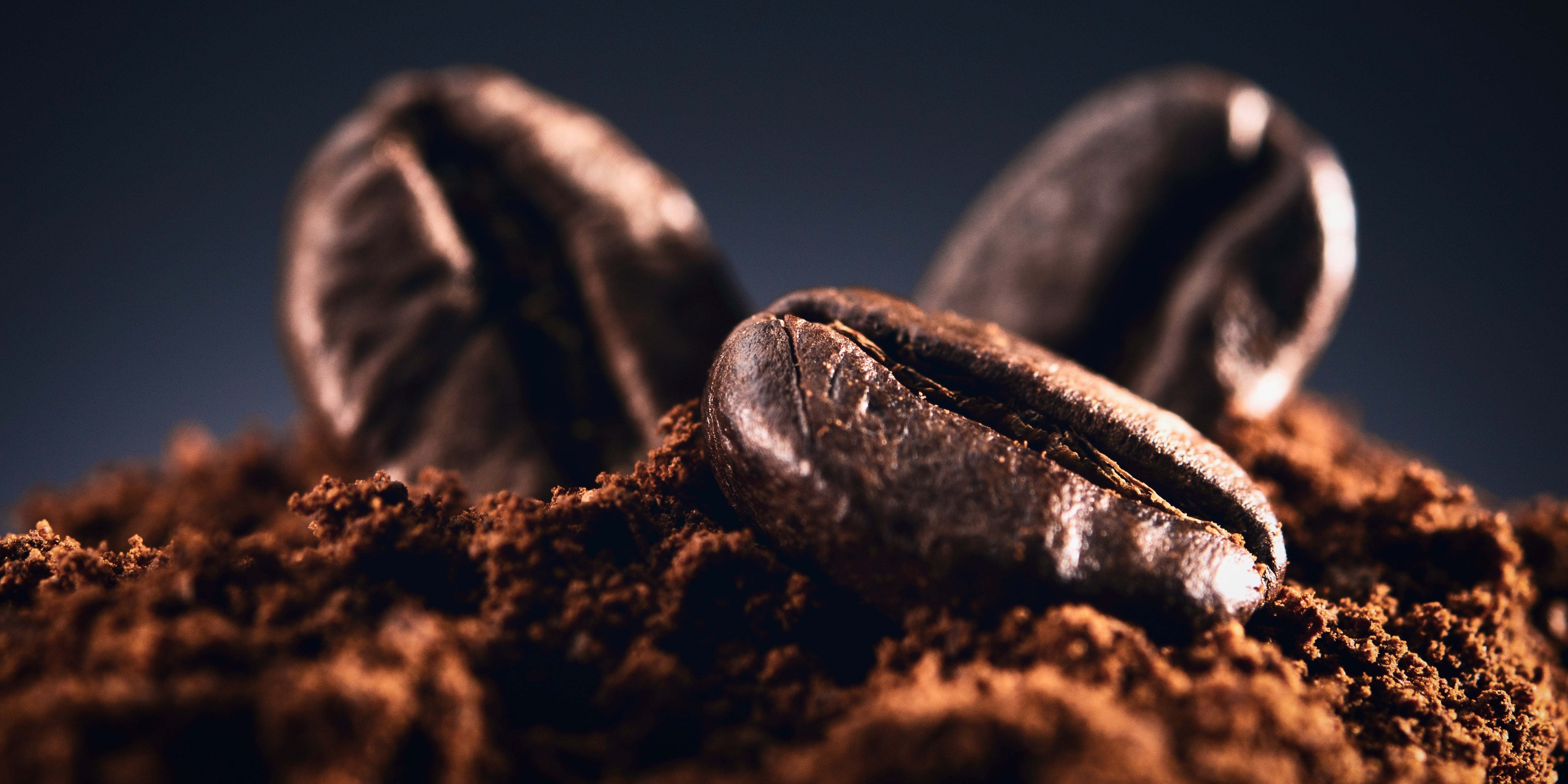 Macro photograph of roasted coffee beans