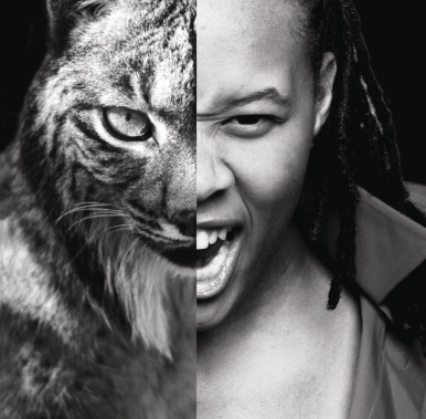 Minnesota Lynx campaign