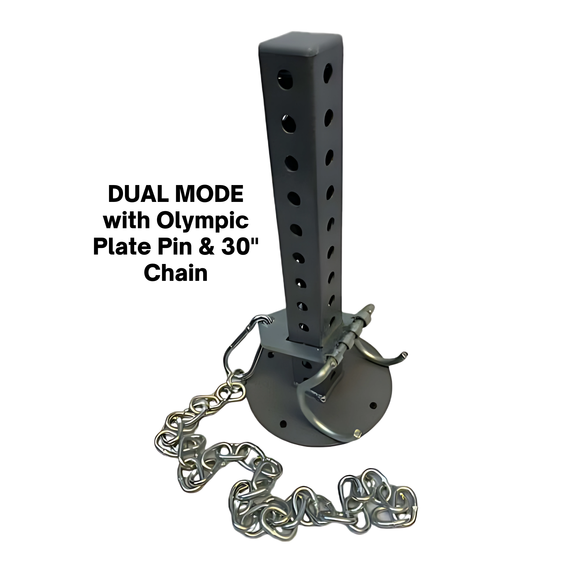 Dual Mode Dumbbell Hook Assembly, Weight Load Pin, Chain & Snap Link
