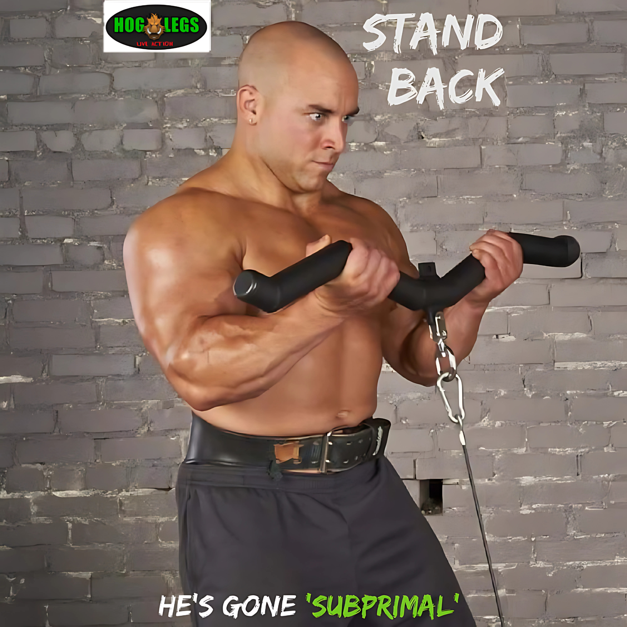 HOG LEGS Subprimal  EZ Curl Bar / Triceps Workout Bar