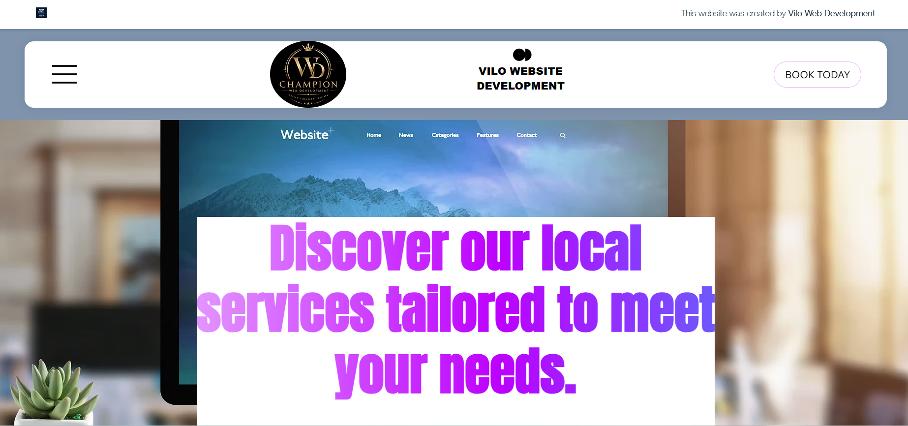 Vilo Web Development website screenshot