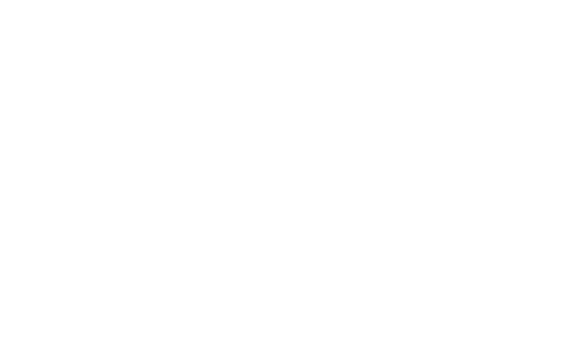 ElderVizor logo