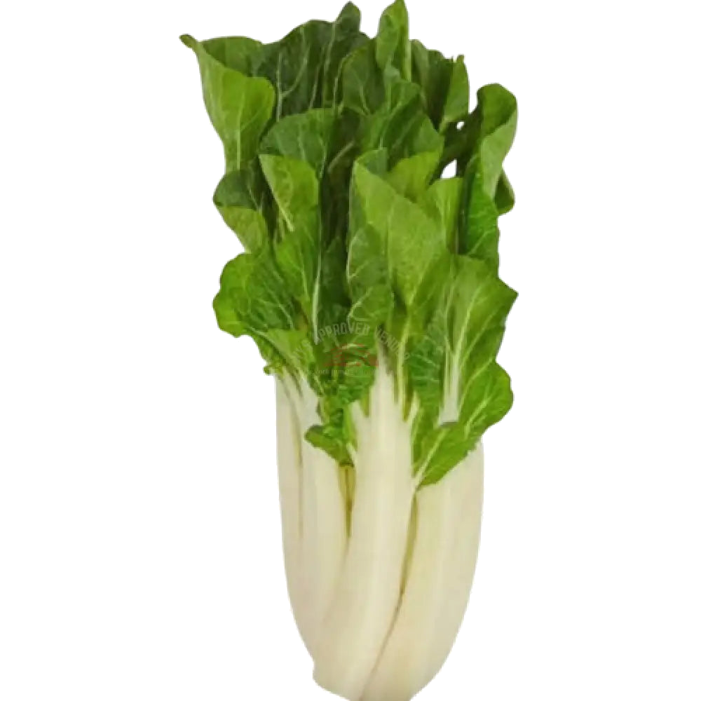 Bok Choy 12oz Vegetable