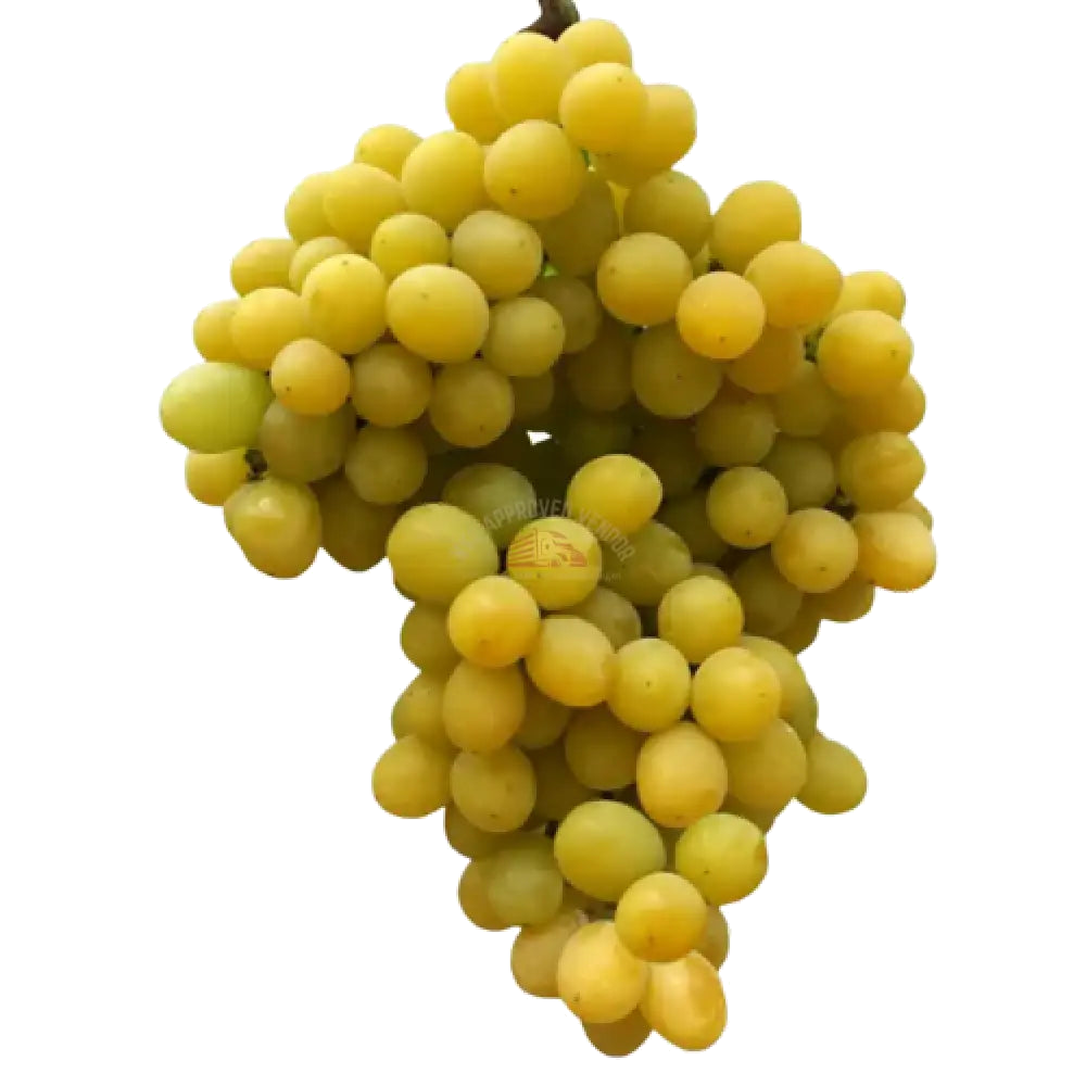Cotton Candy Grapes 3lbs. Grapes