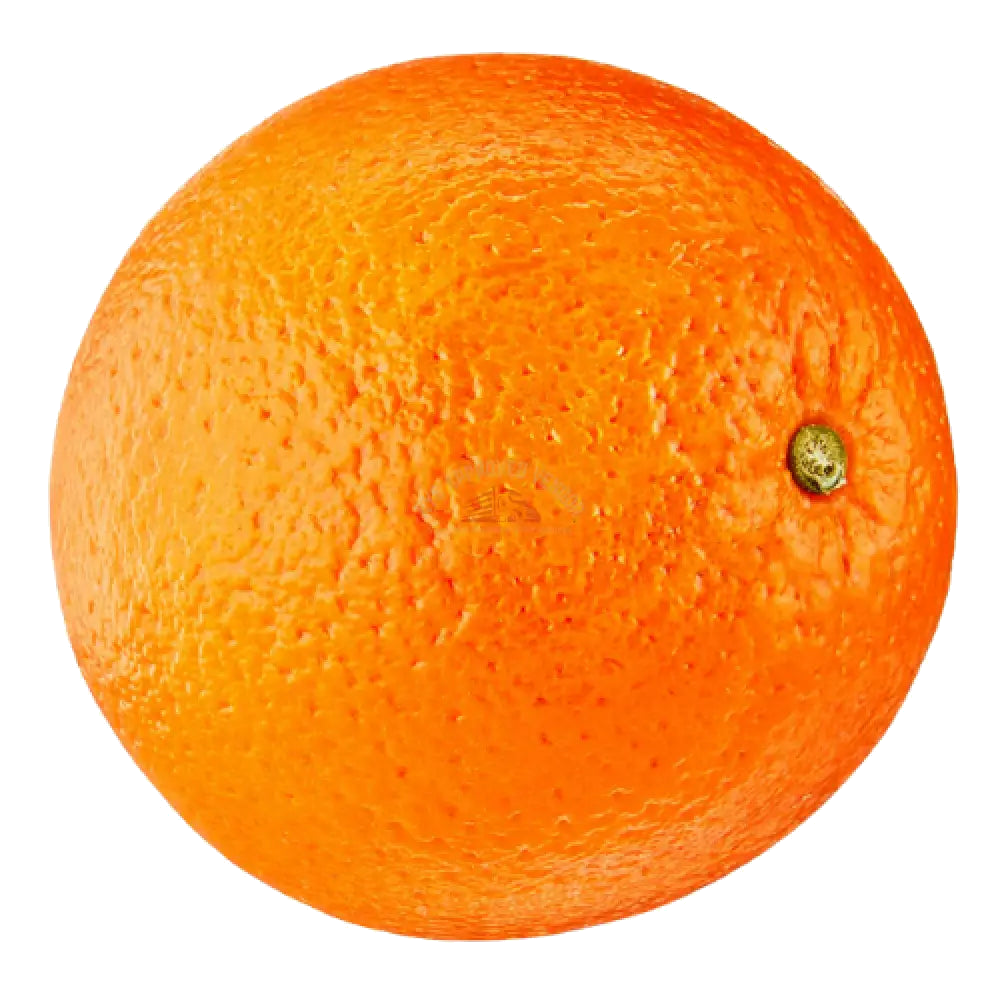Navel Oranges 4 count Oranges