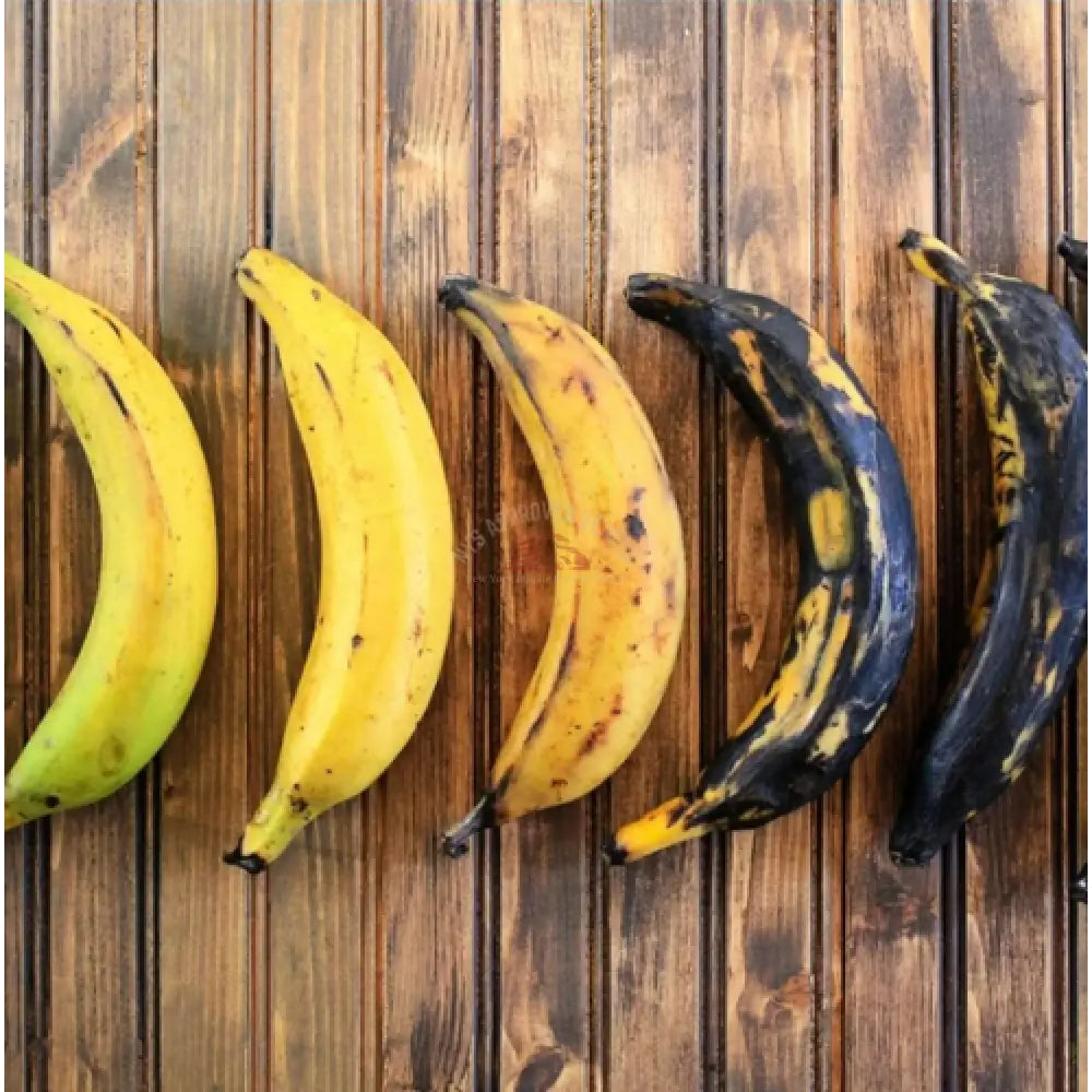 Plantains (Green) 3ct Fruit