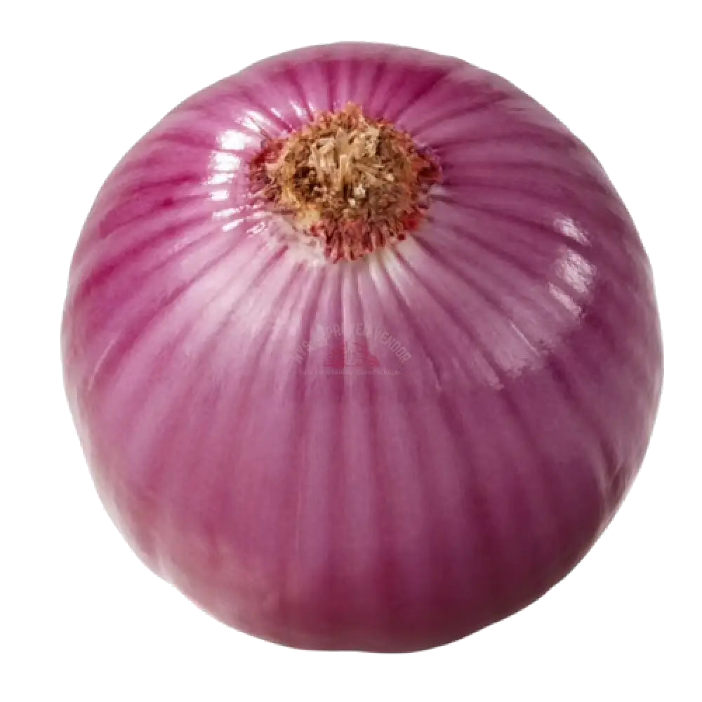 Red Onion Vegetable