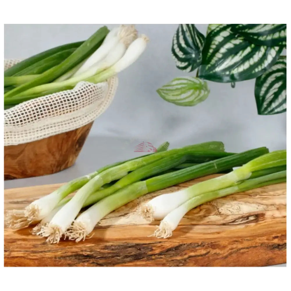 Scallion Vegetable