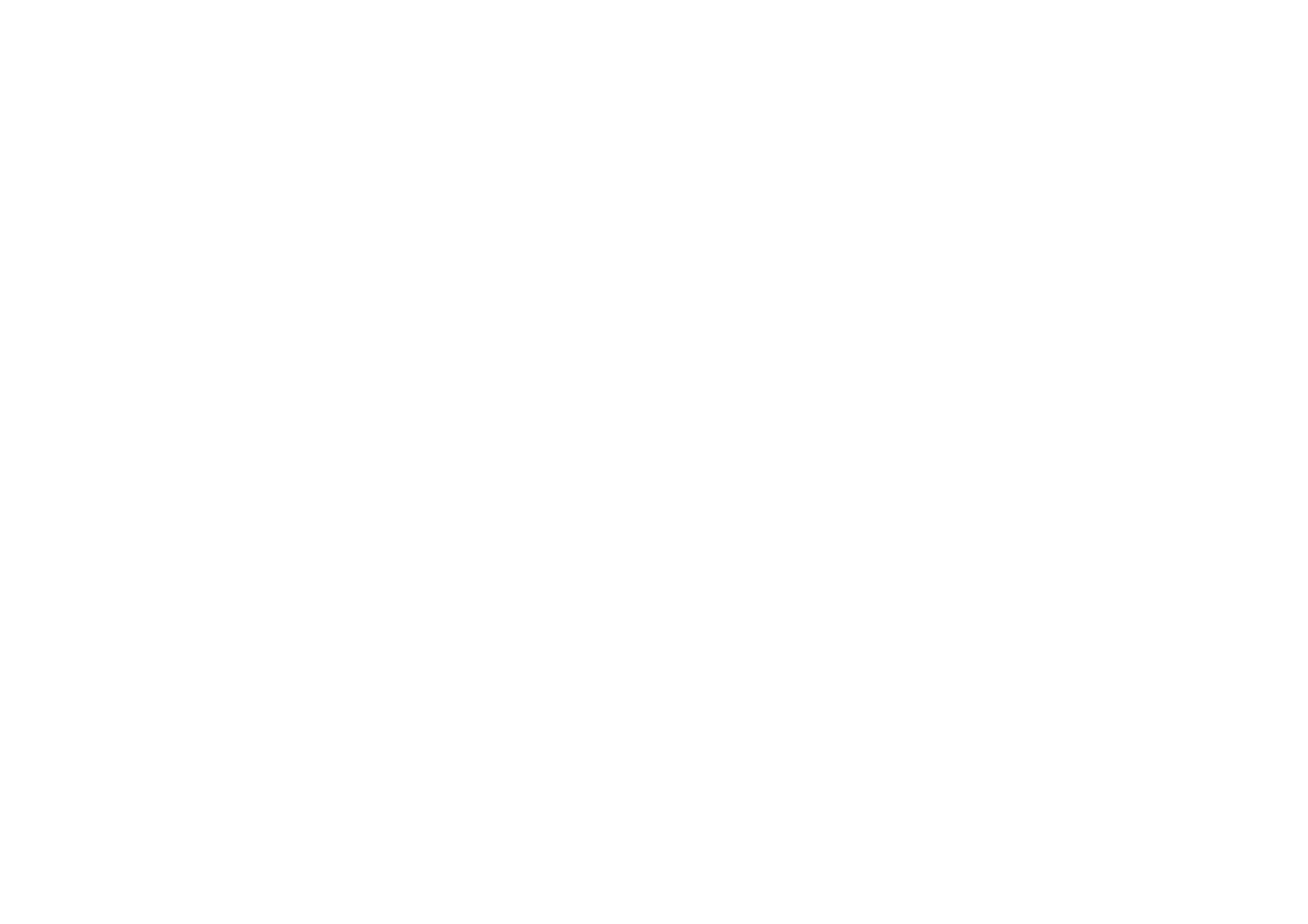 FIFA Licensed Match Agent