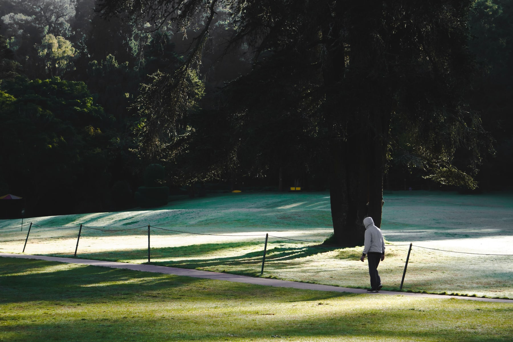 Person walking alone on a green park path