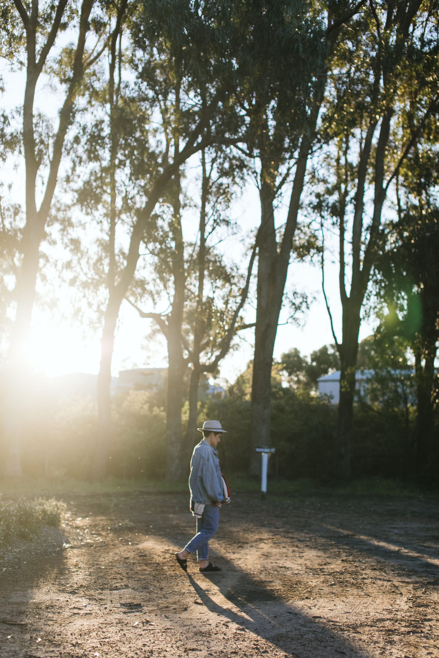 Person walking on a sunlit path through a park