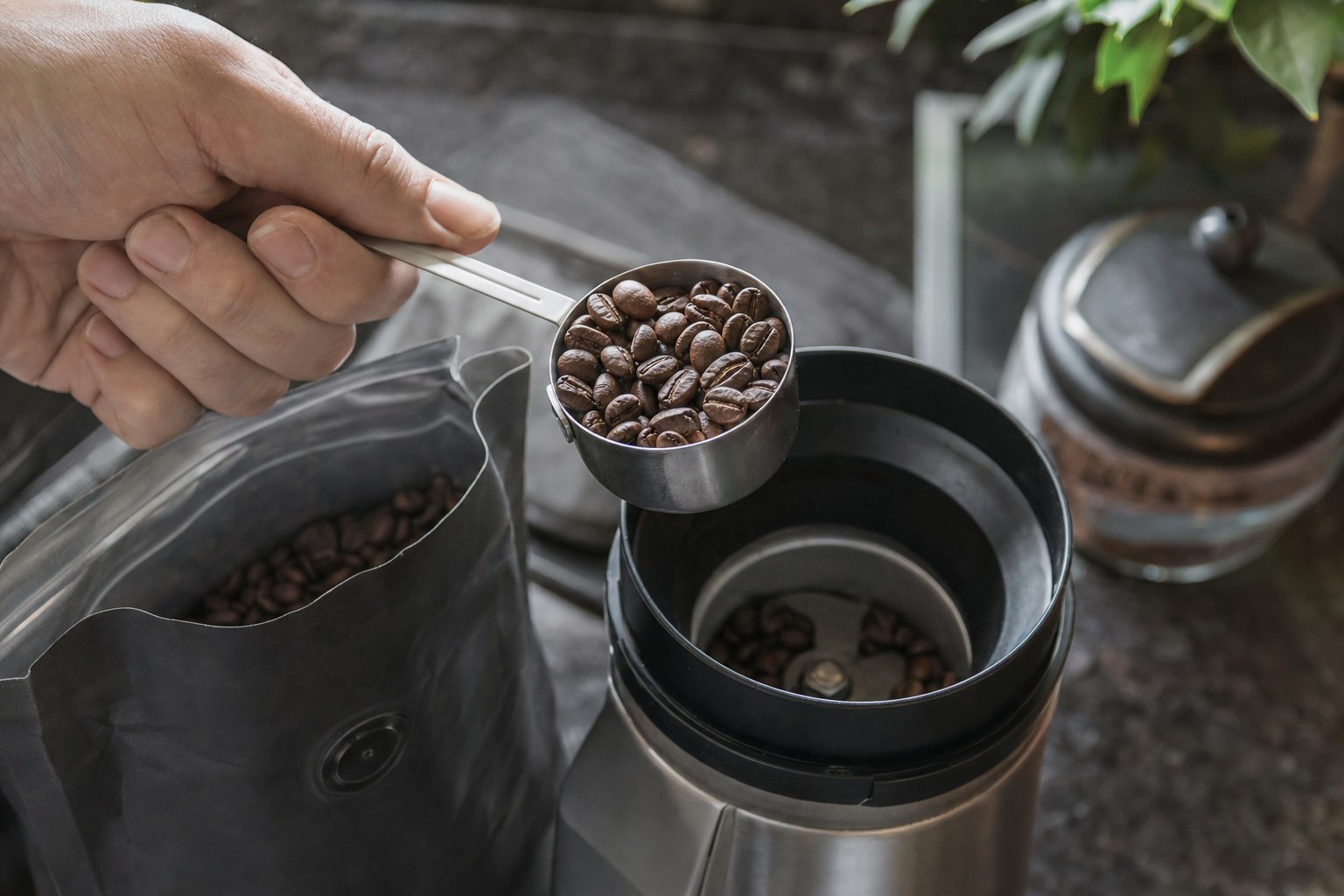 Whole coffee beans being measured into a grinder